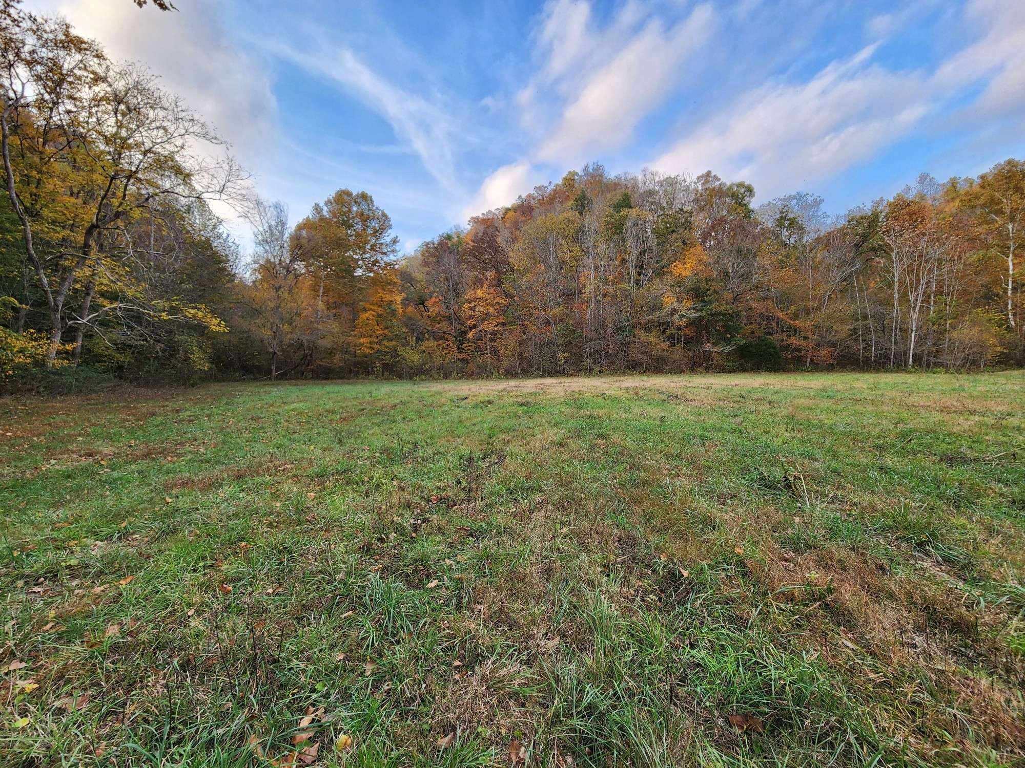 Whitleyville, TN 38588,0 Pine Lick Rd