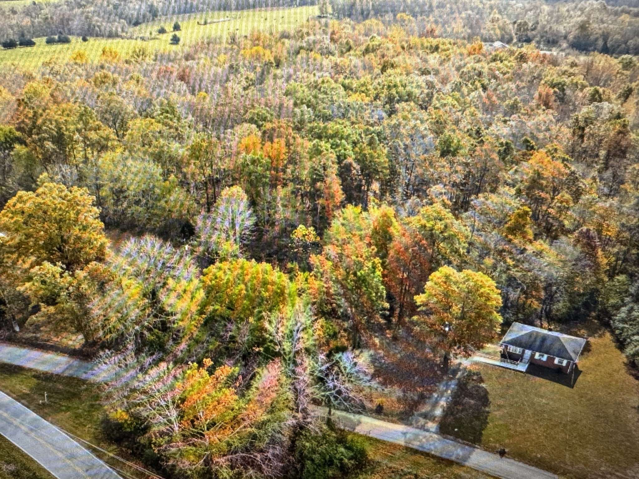 Southside, TN 37171,1402 Moore Lane