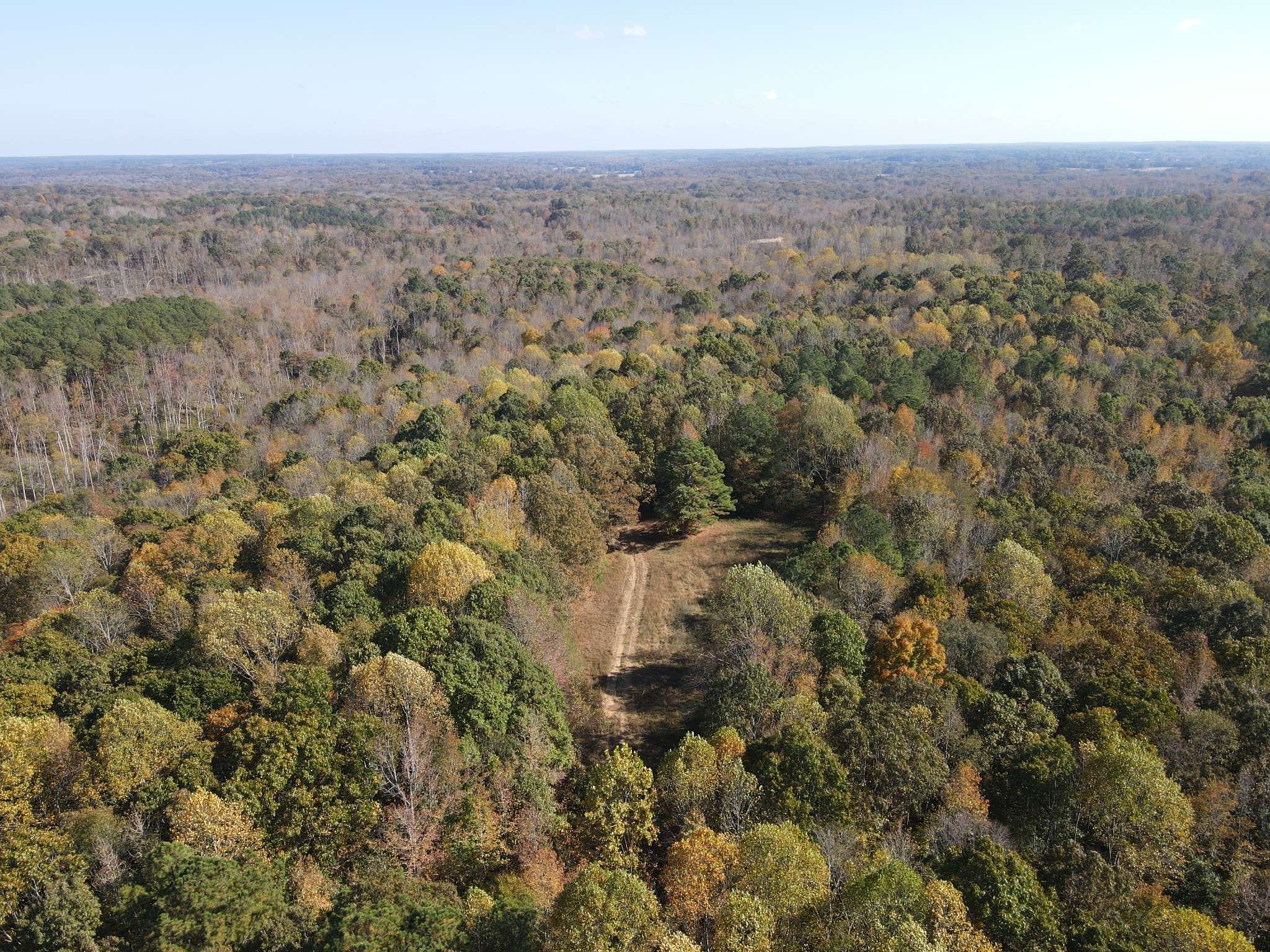 Springville, TN 38256,0 Copper Spring Road