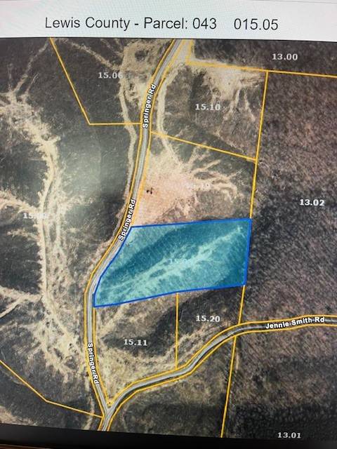 Hohenwald, TN 38462,0 Springer Rd