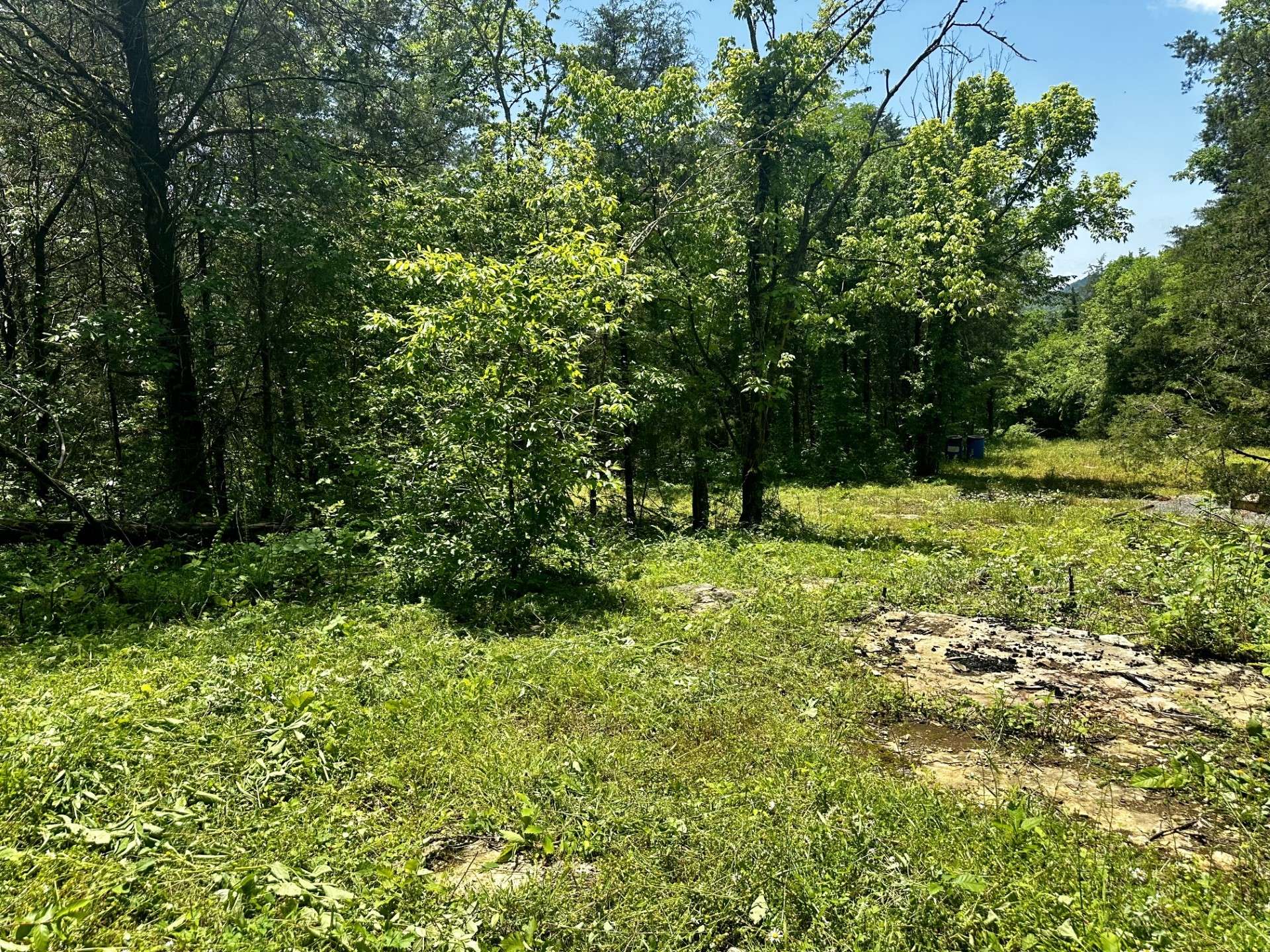 Pleasant Shade, TN 37145,193 Dixon Ln