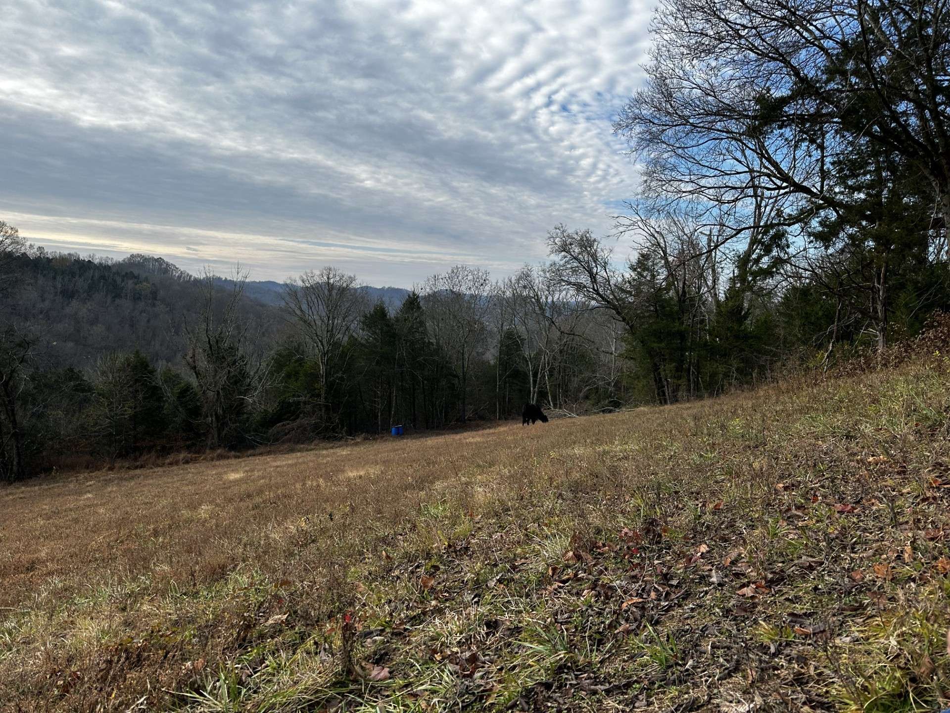 Pleasant Shade, TN 37145,193 Dixon Ln