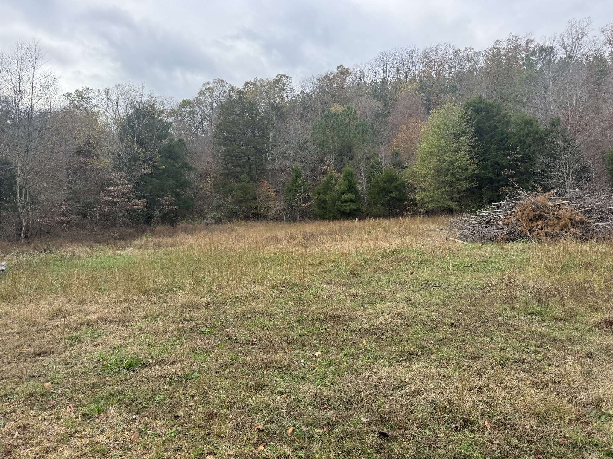 Hohenwald, TN 38462,0 Tracy Rd