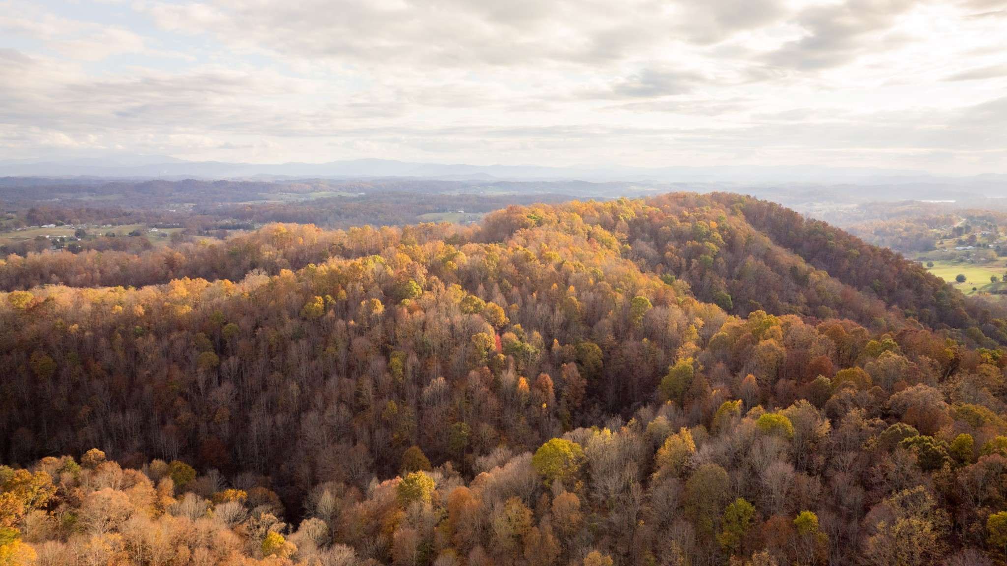 Blountville, TN 37617,544 Ethel Beard Rd