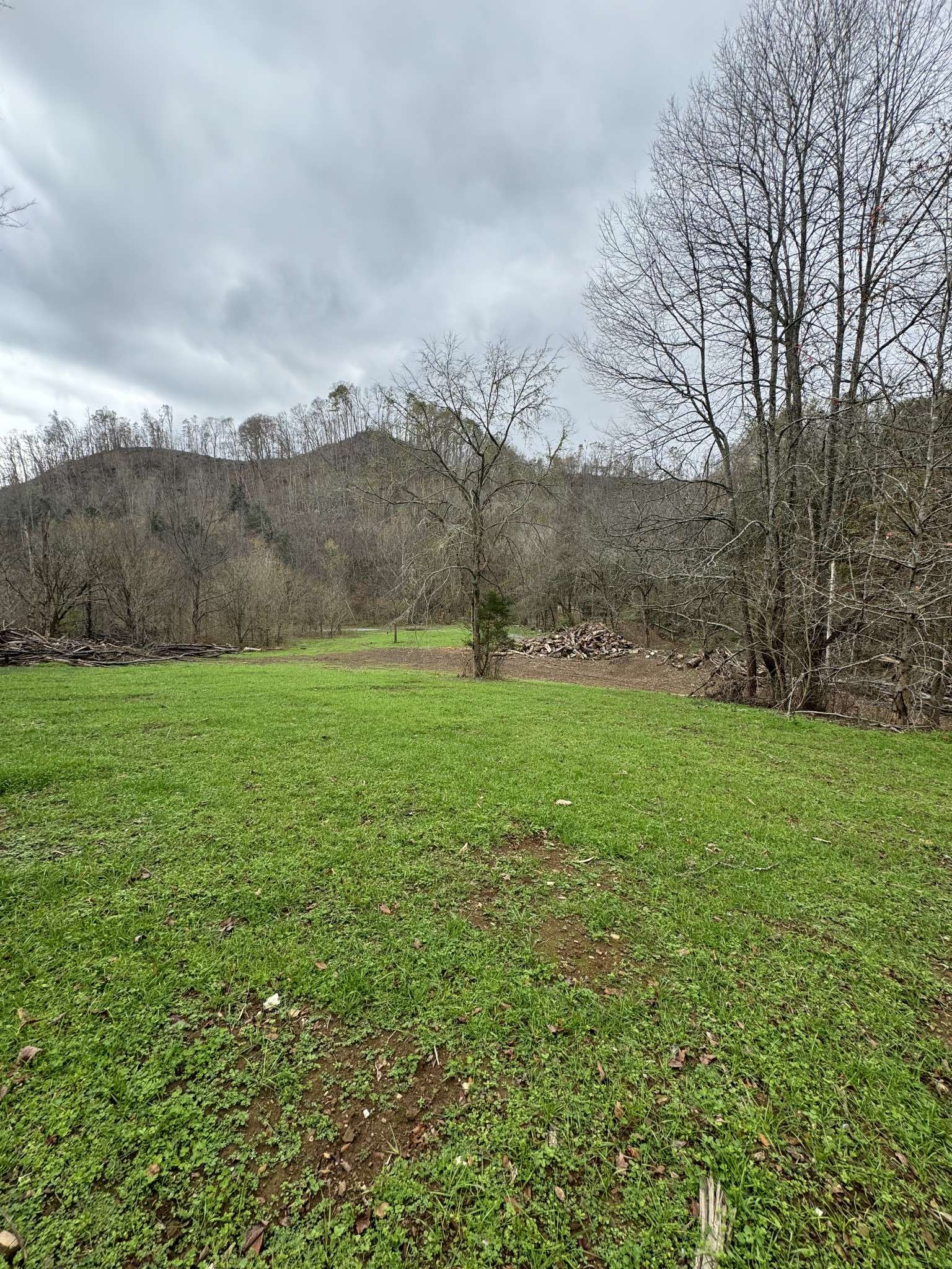 Whitleyville, TN 38588,0 Webster Branch Ln