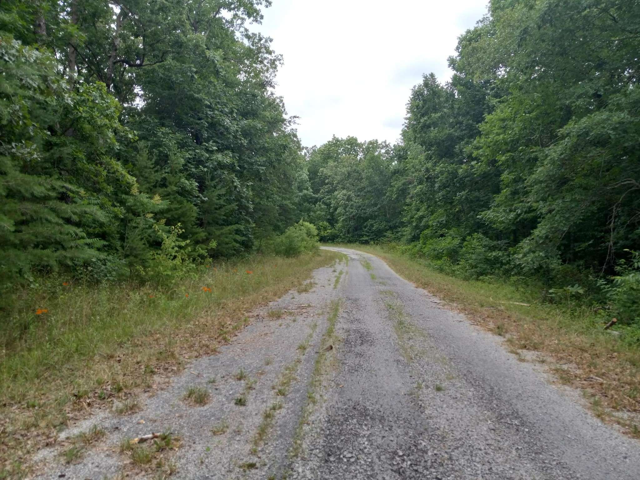 Crossville, TN 38572,1163 Chanute Trail