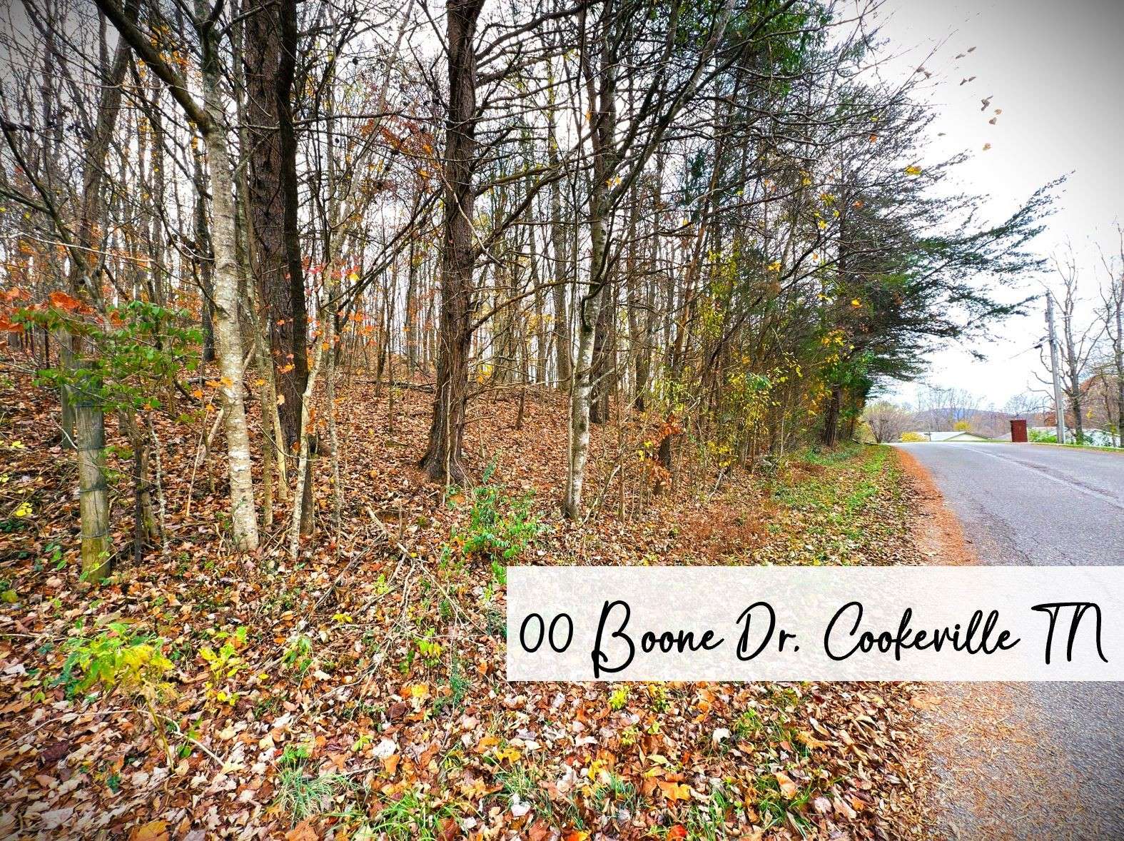 Cookeville, TN 38506,0 Boone Drive