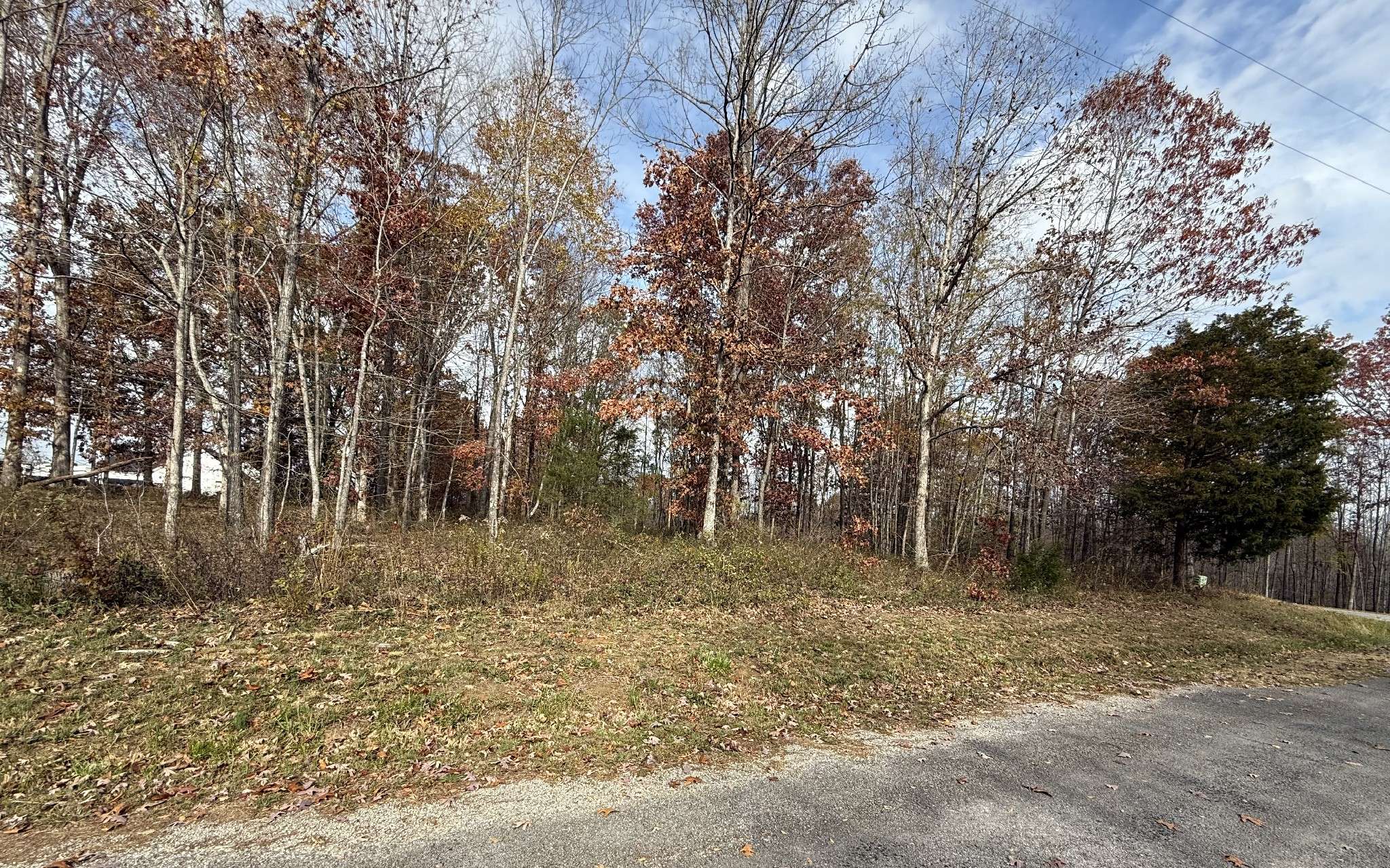 Leoma, TN 38468,0 Cotton Ln