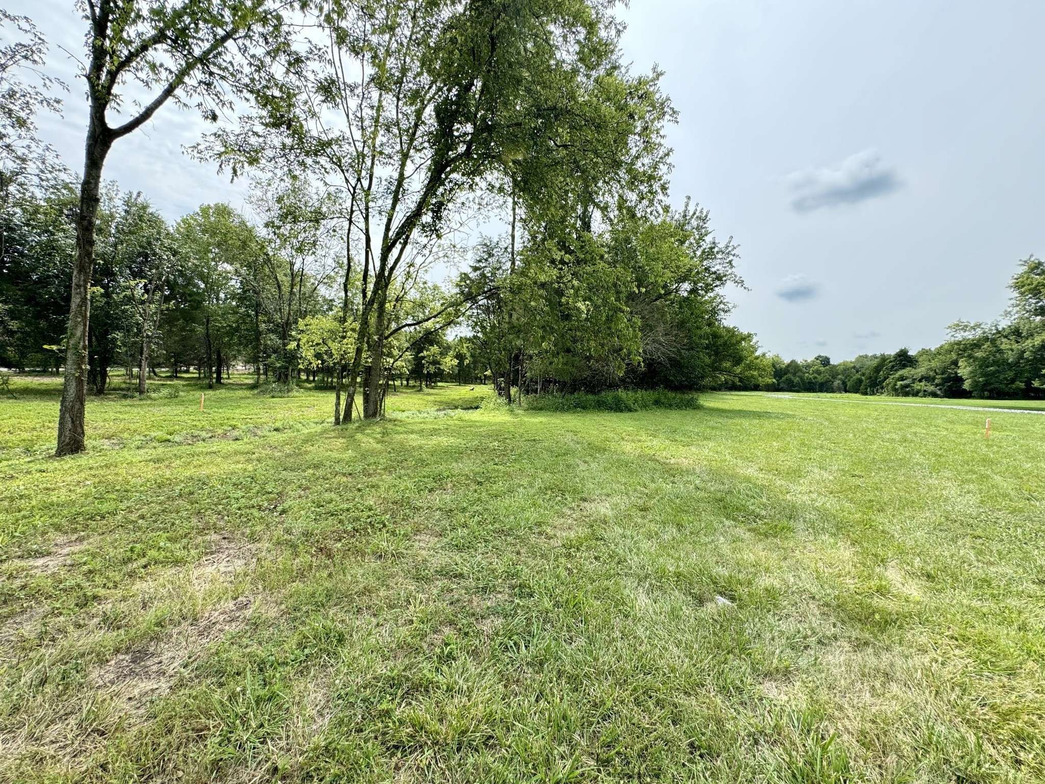 Castalian Springs, TN 37031,406 Harsh Ln