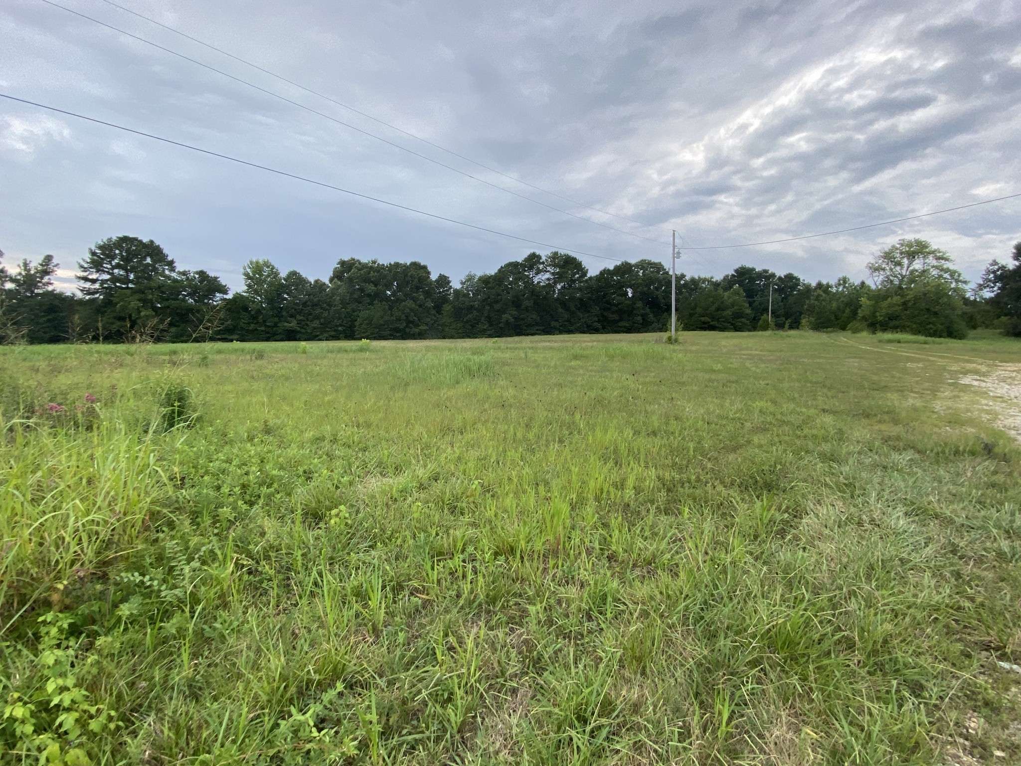 Paris, TN 38242,2948 E Wood St - Lot 2