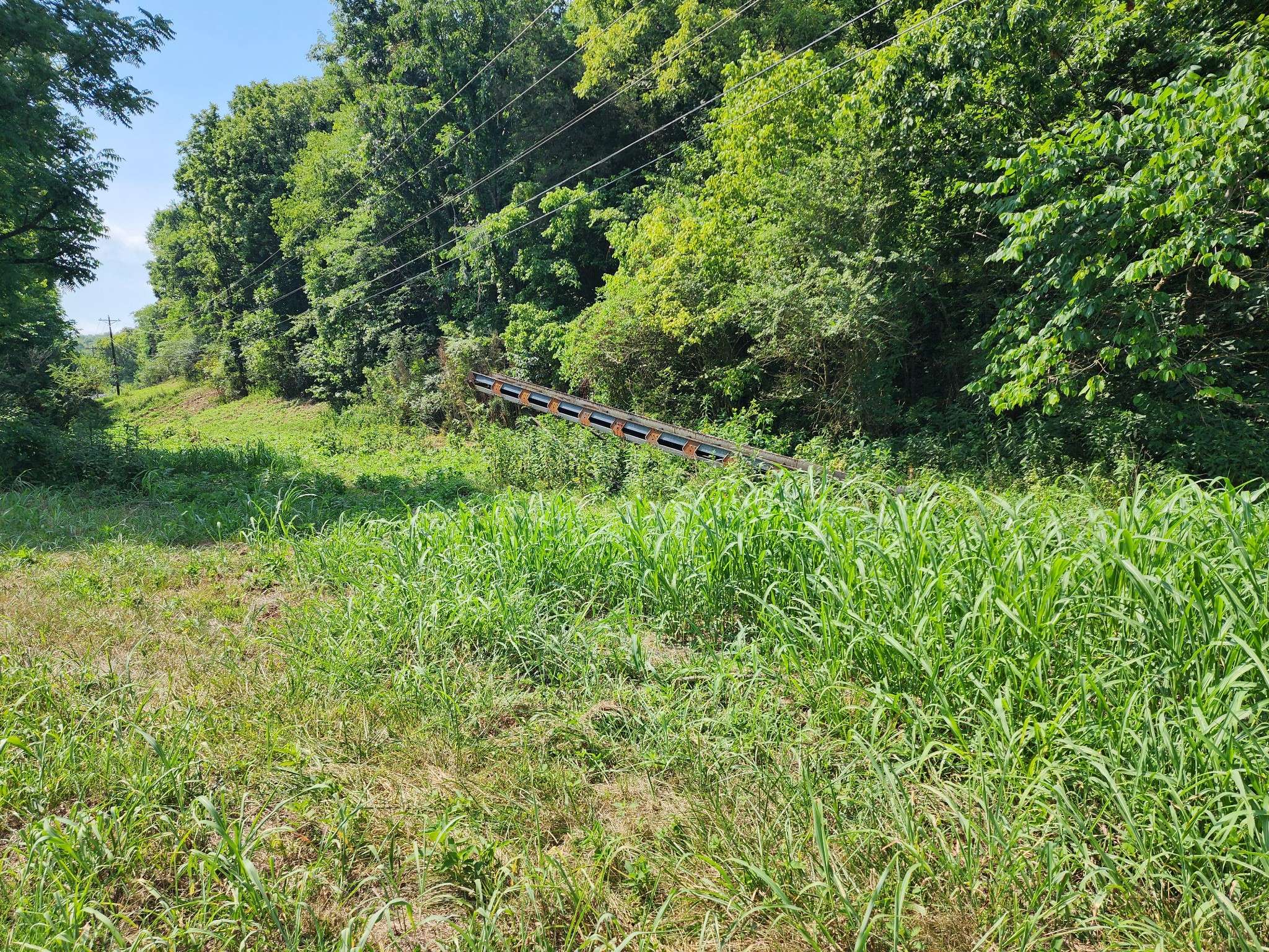 Gainesboro, TN 38562,78 ac Baugh Hollow Rd