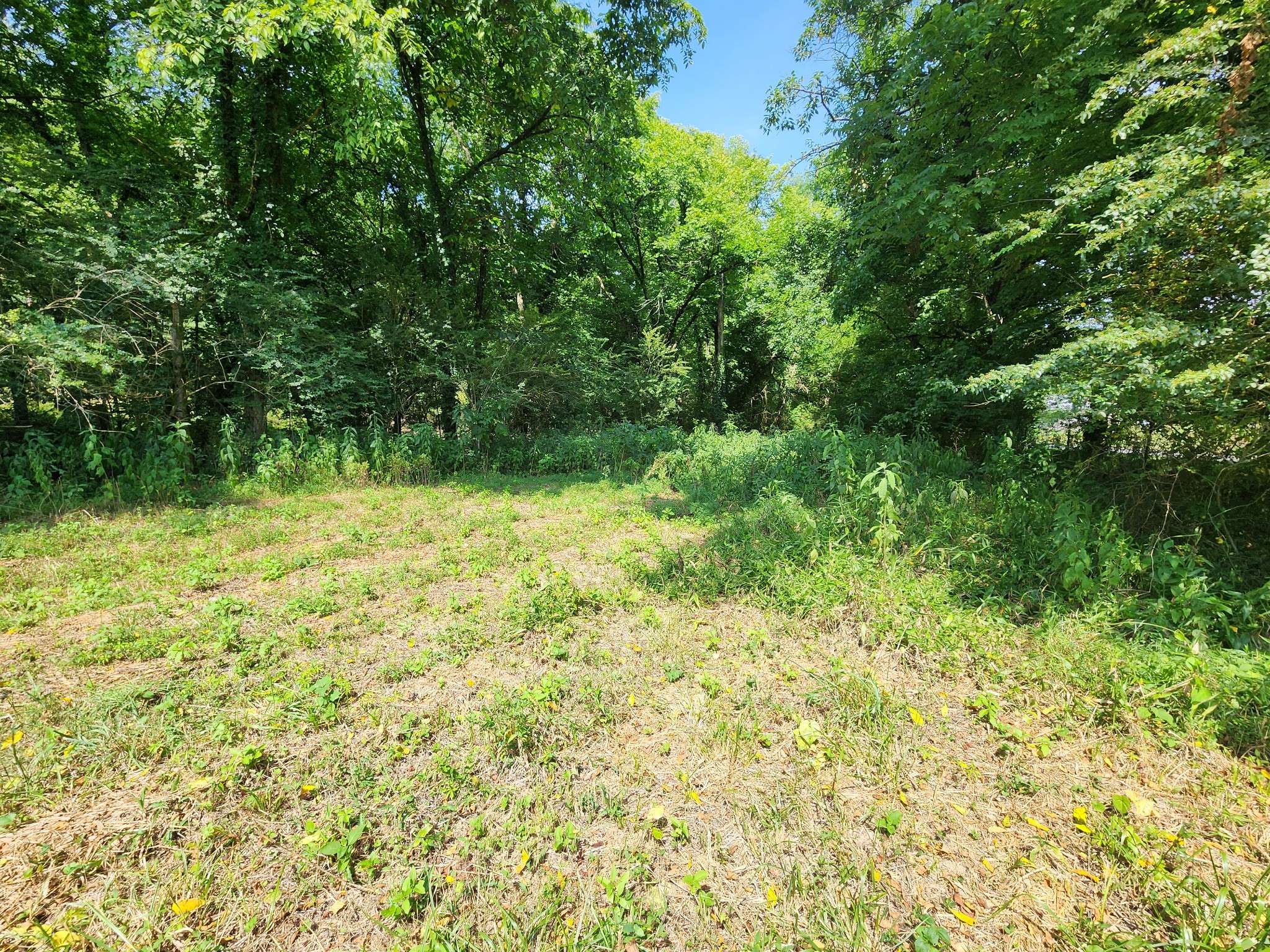 Gainesboro, TN 38562,78 ac Baugh Hollow Rd