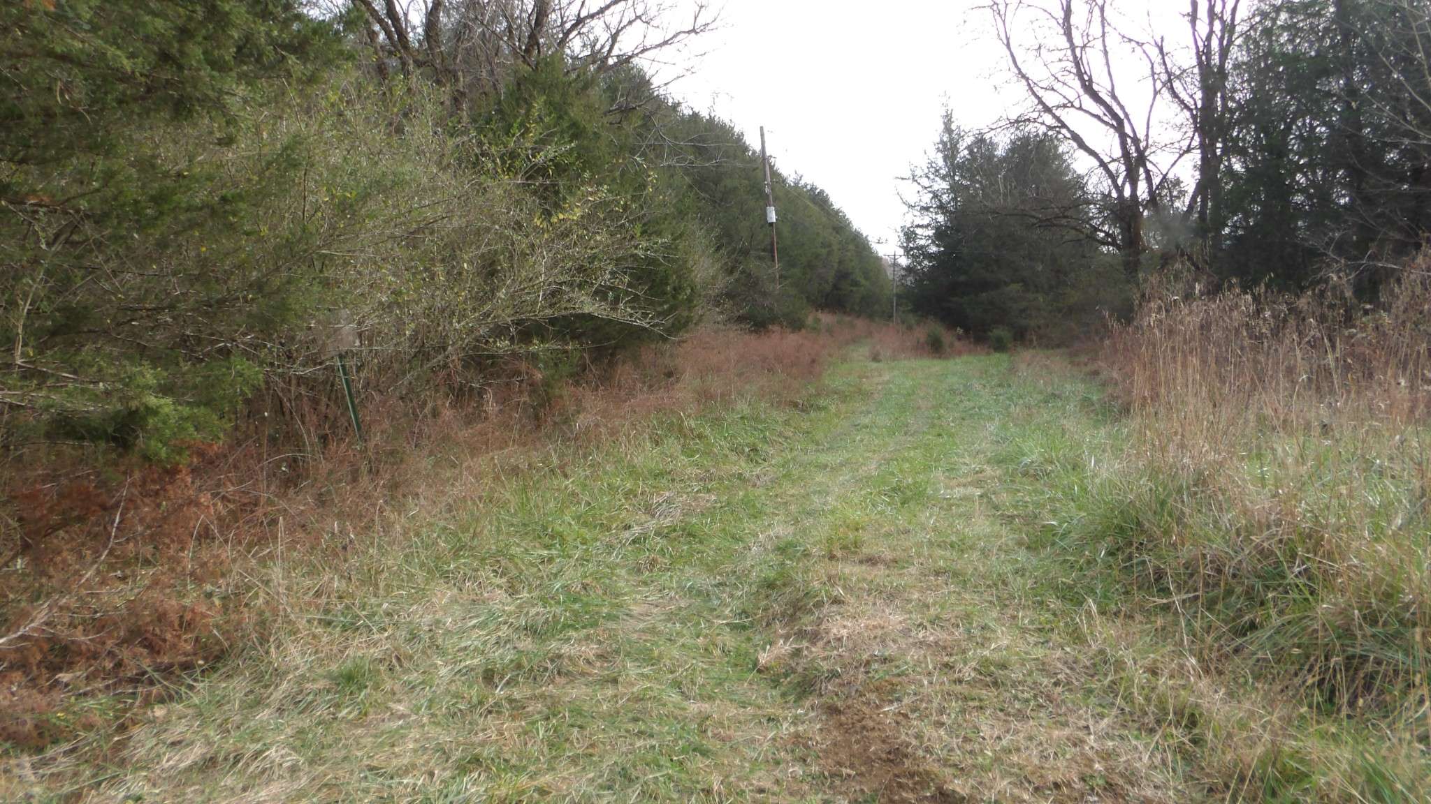 Gainesboro, TN 38562,90 ac Baugh Hollow Rd