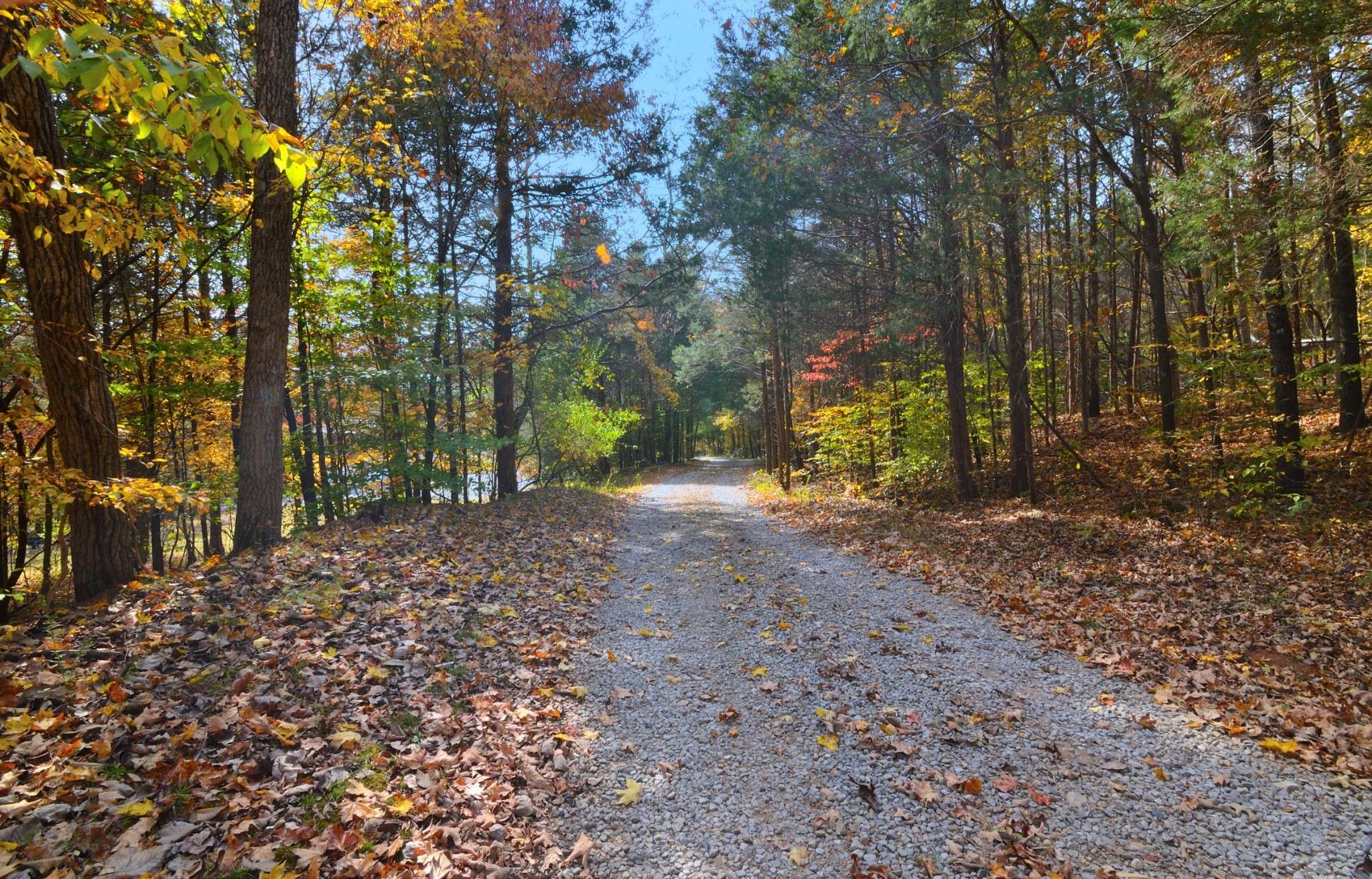 Woodlawn, TN 37191,4045 Lake Rd