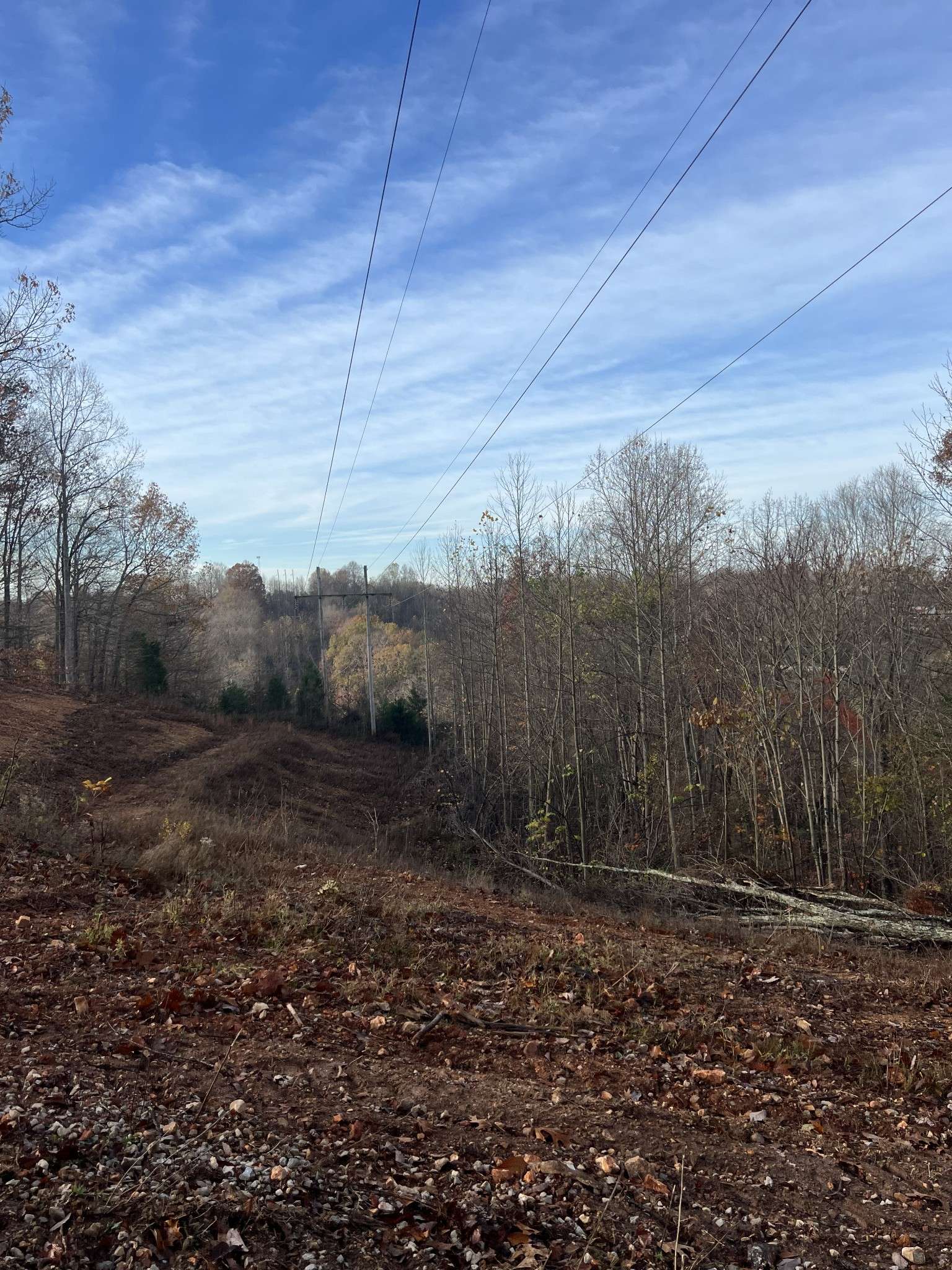 Celina, TN 38551,0 BURKESVILLE HWY