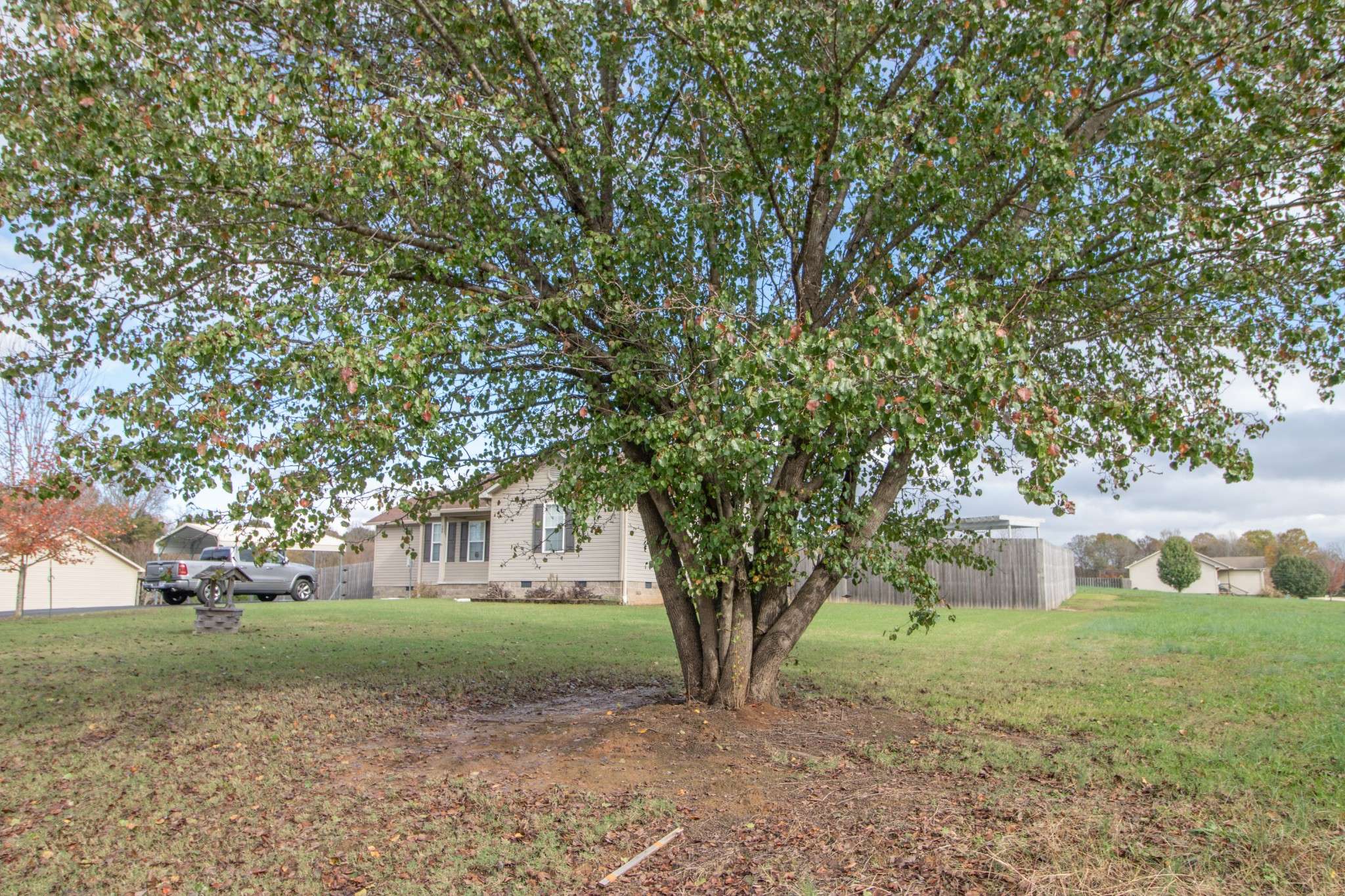 Beech Bluff, TN 38313,280 Bray Rd