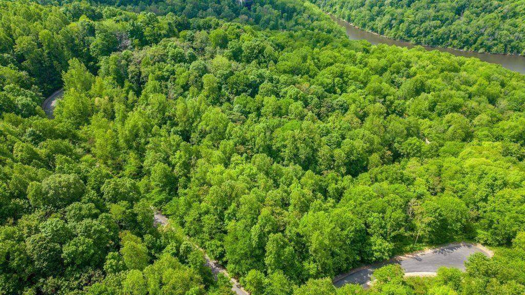 Smithville, TN 37166,59 Maury Lane