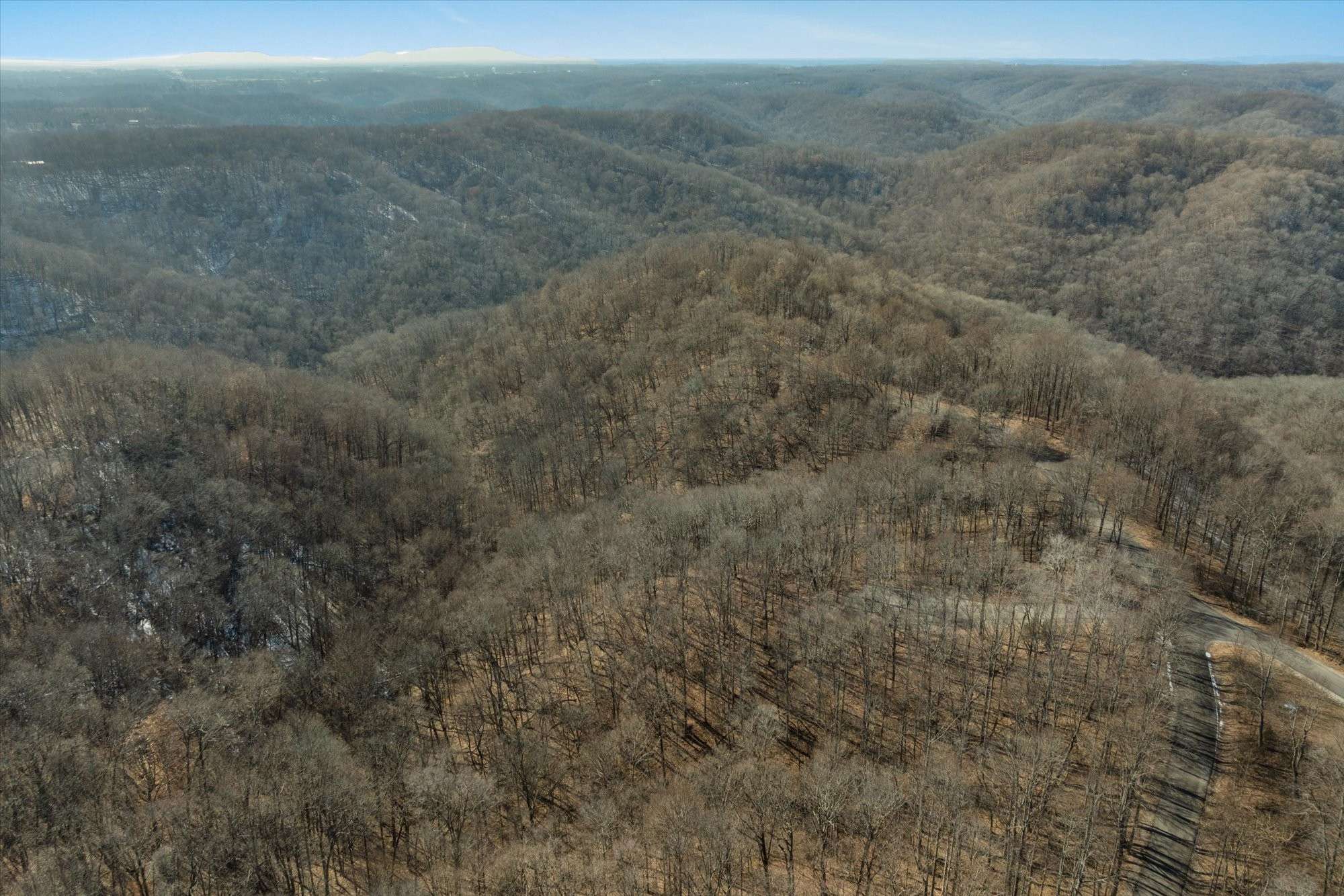 Smithville, TN 37166,259 Randy Ct