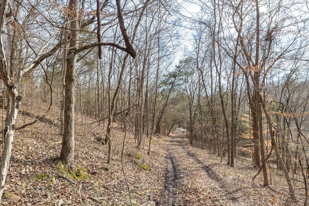 Thompsons Station, TN 37179,1742 Barker Rd