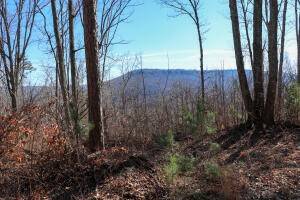 Flat Rock, AL 35966,3607 County Road 792