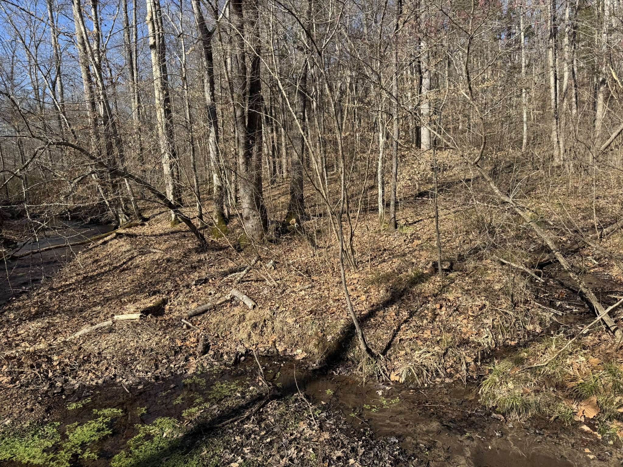 Centerville, TN 37033,0 W Kelly Rd