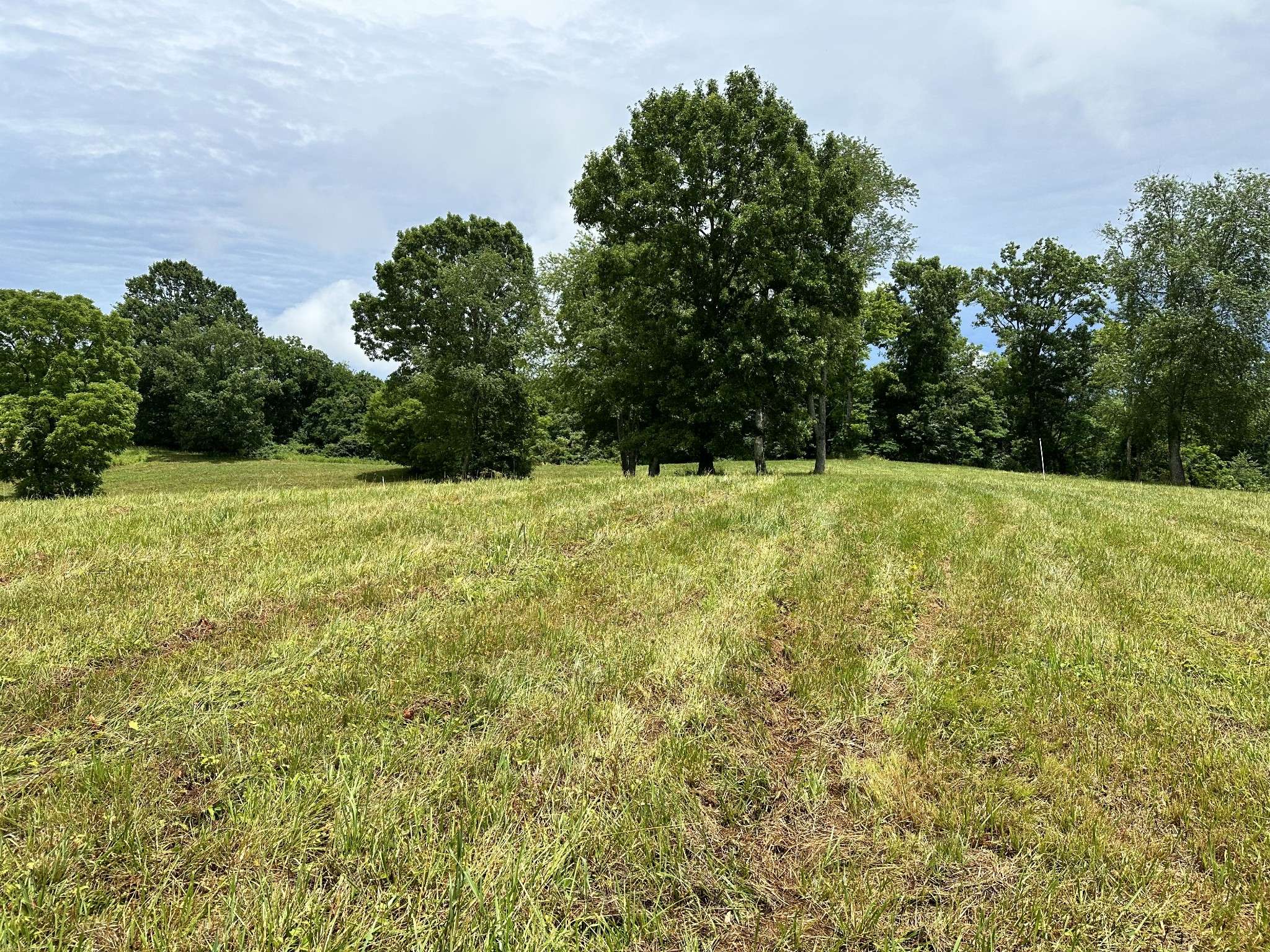 Pulaski, TN 38478,0 Viewpoint Valley Drive