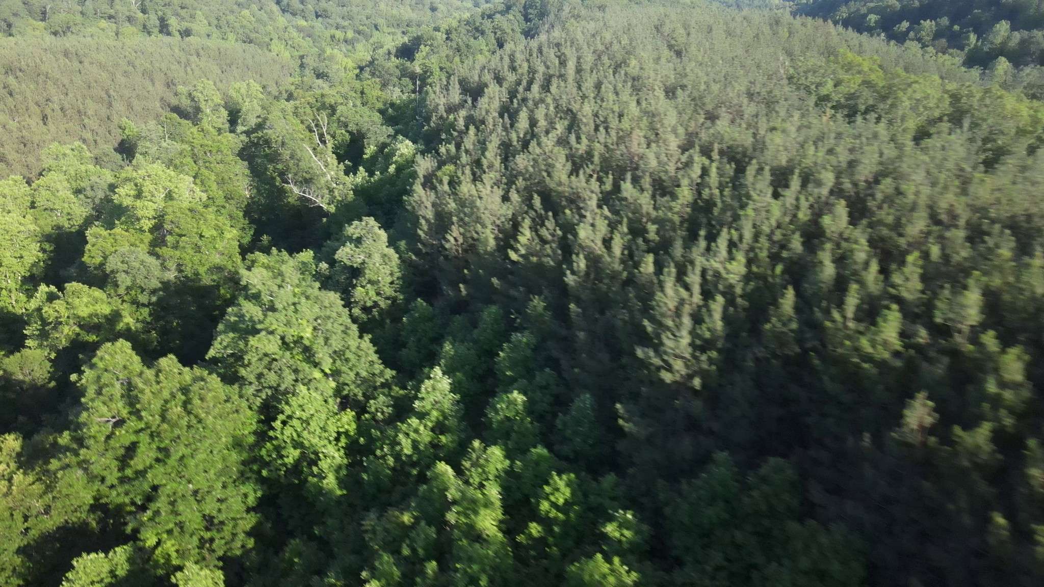 Linden, TN 37096,2932 Old Hohenwald Rd
