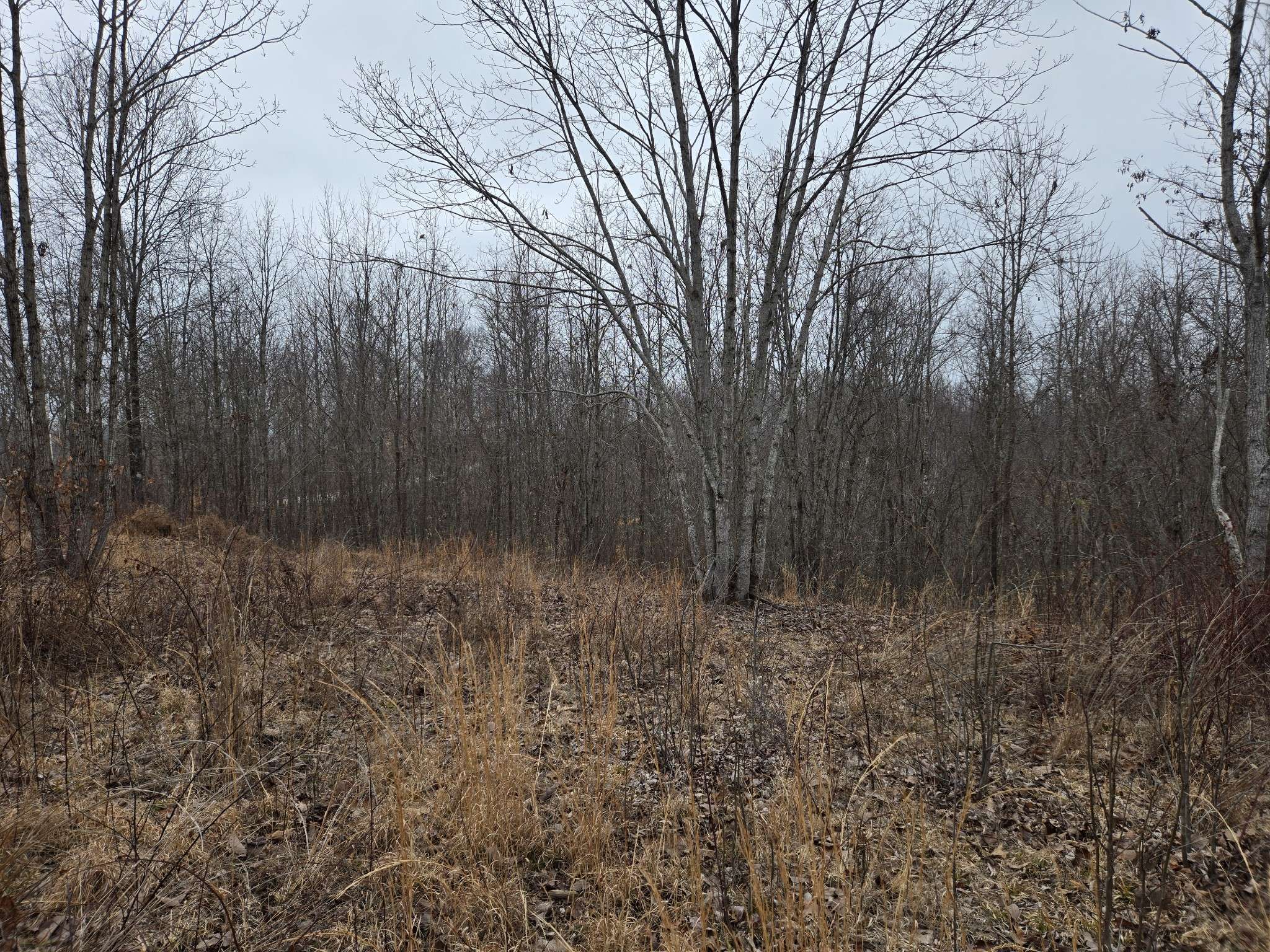 Stewart, TN 37175,0 OverLook Trl