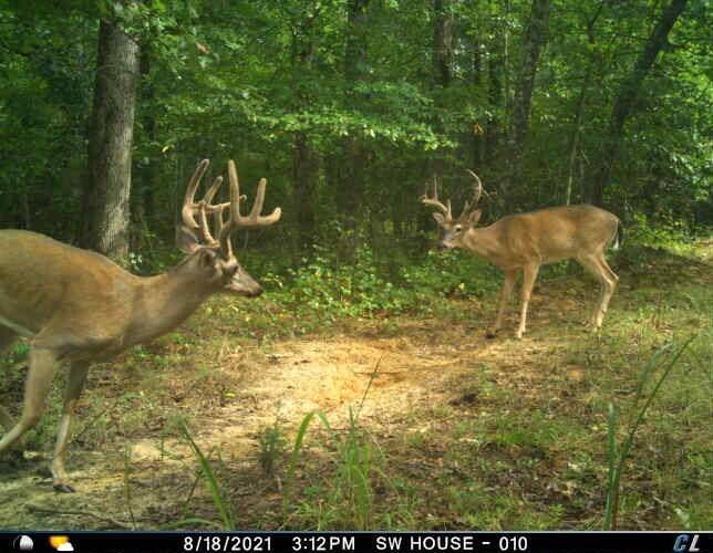 Big Sandy, TN 38221,0 Sulphur Creek Road