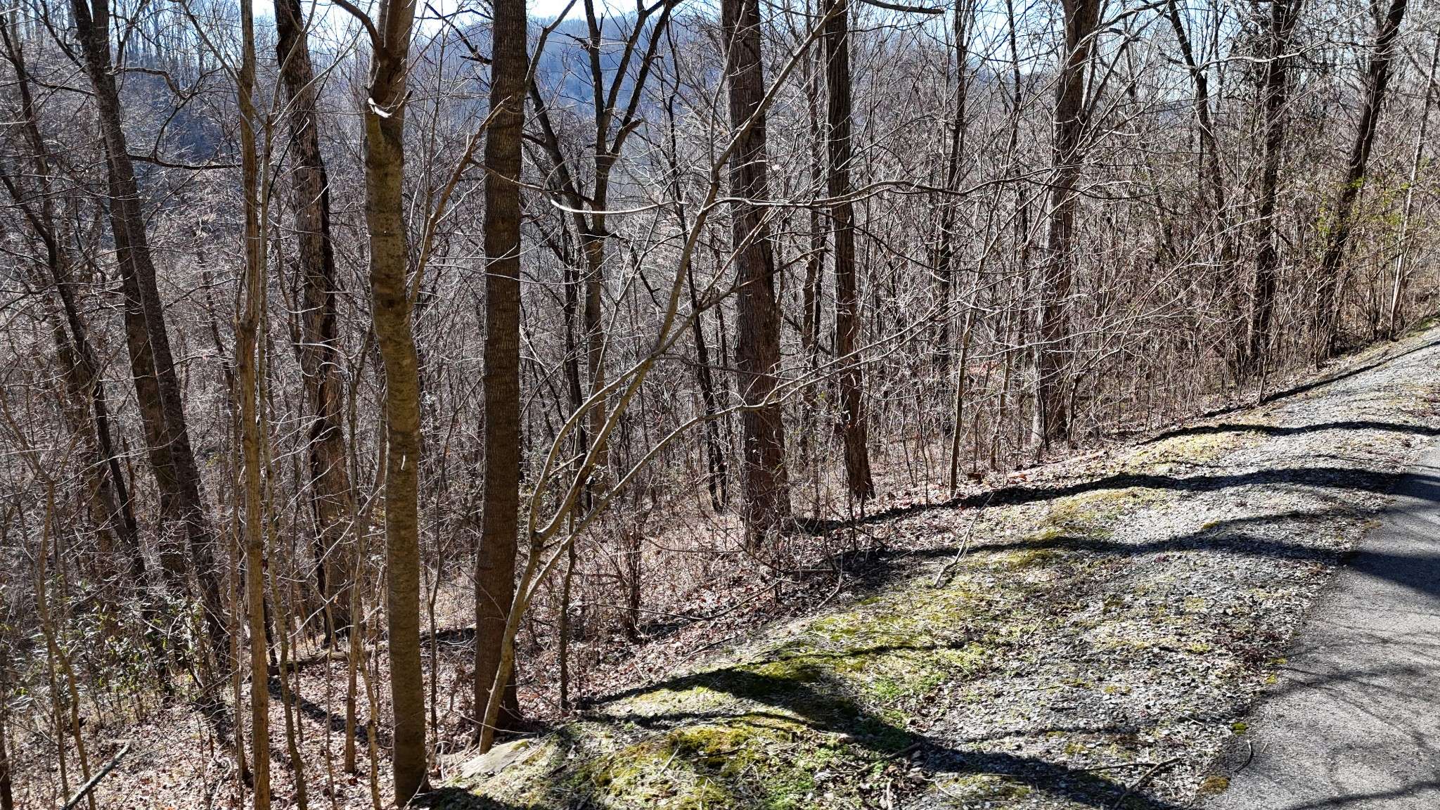 Smithville, TN 37166,0 Shoreside Drive