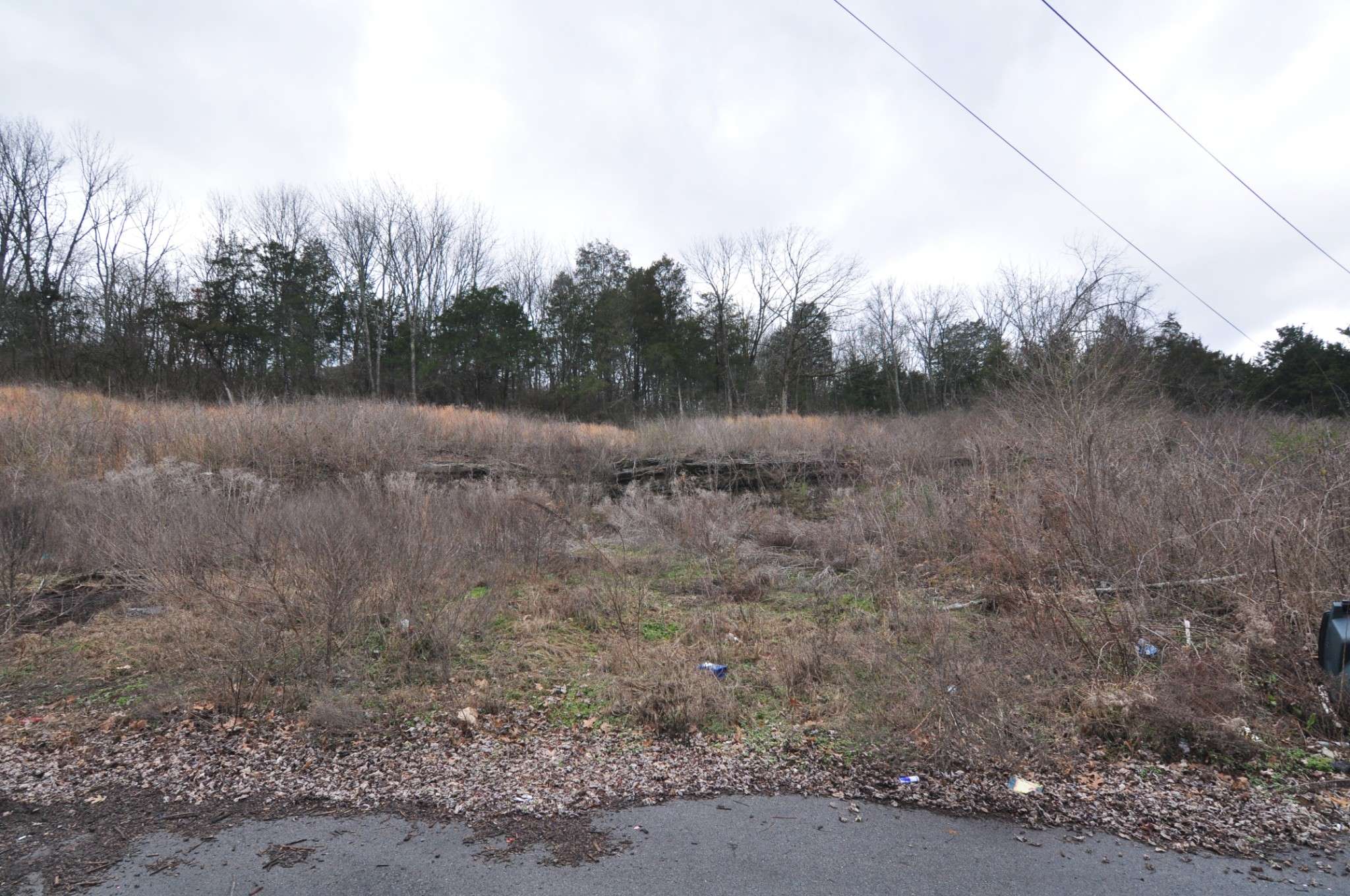 Nashville, TN 37207,529 Combs Ter