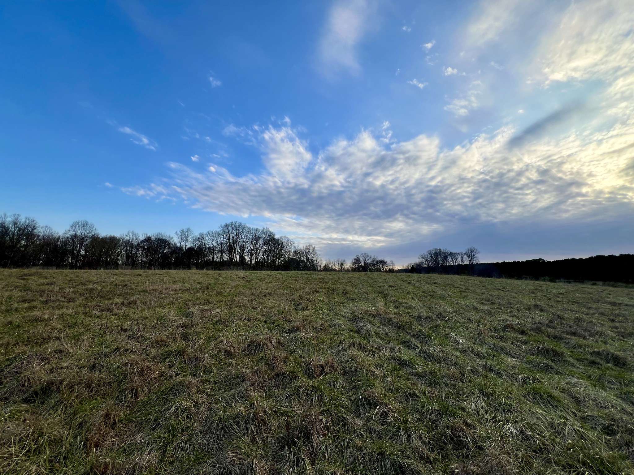 Leoma, TN 38468,19 Gowen Rd