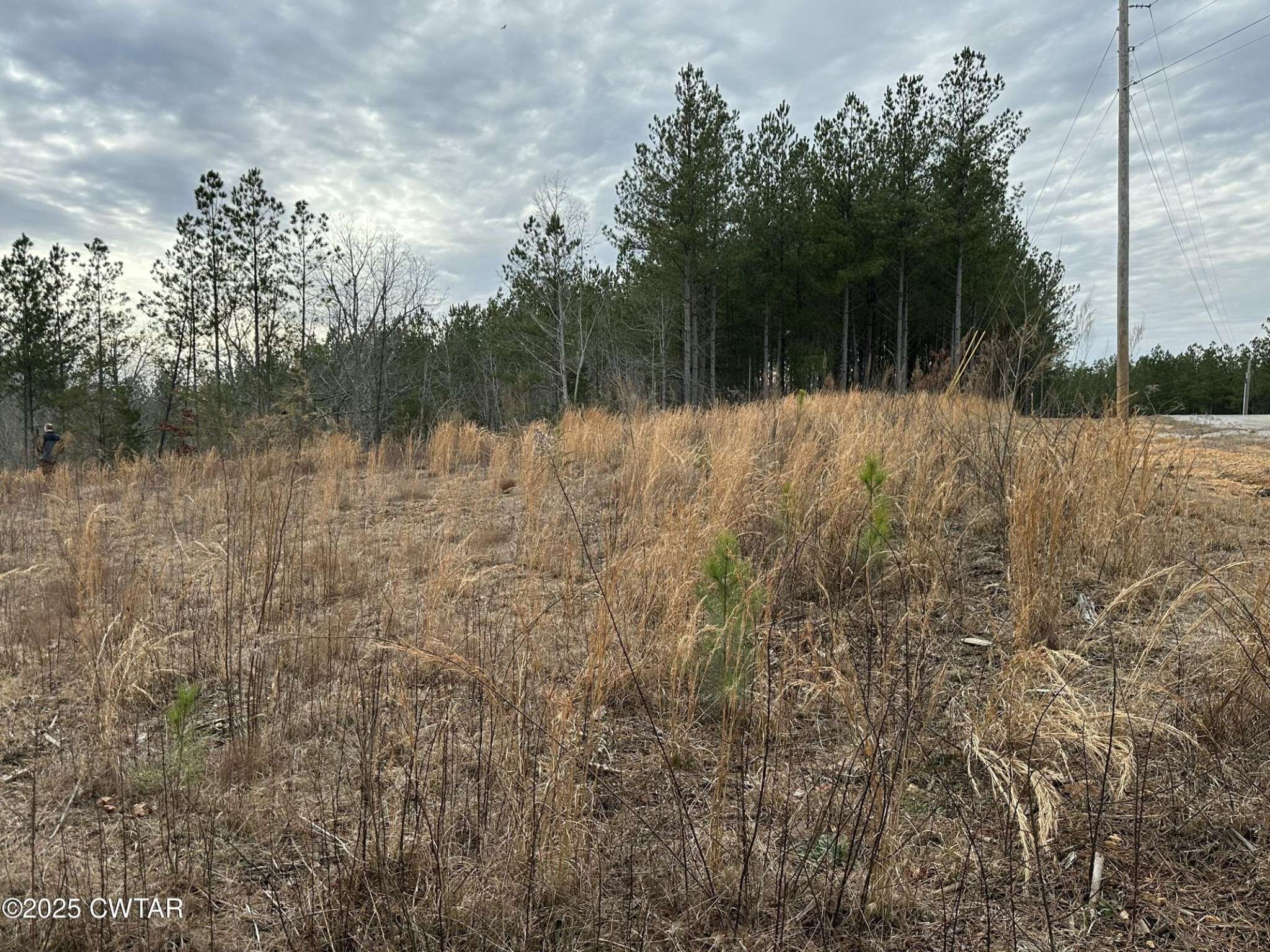 Linden, TN 37096,289 Center Ridge Dr