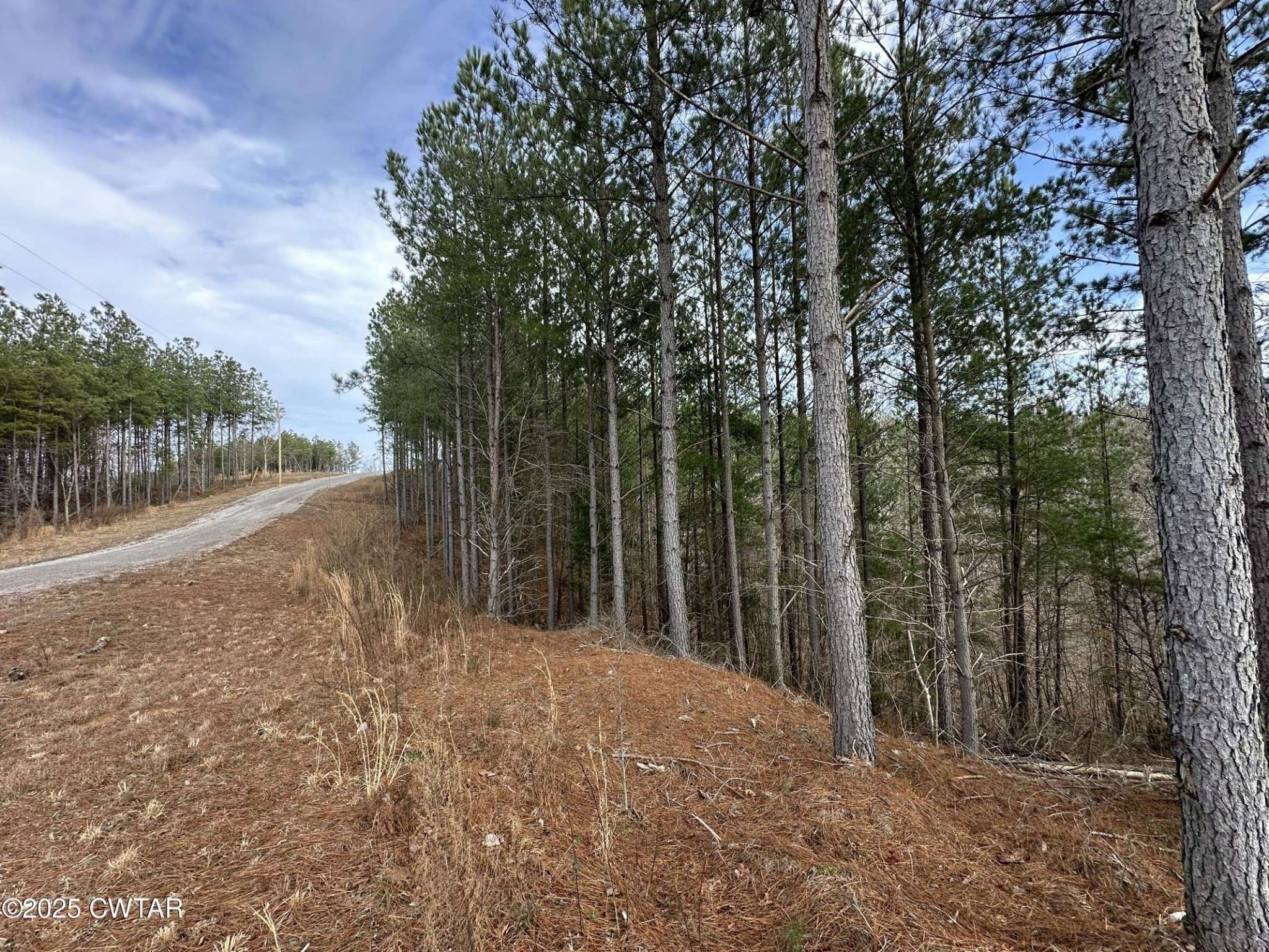 Linden, TN 37096,289 Center Ridge Dr