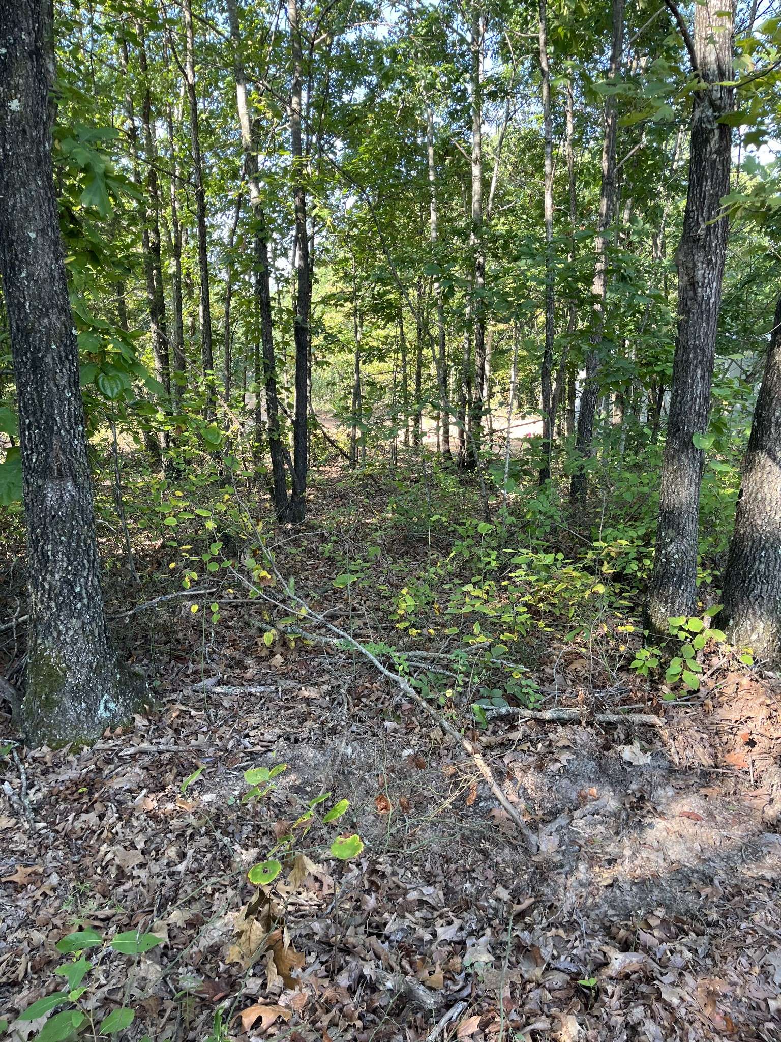 Linden, TN 37096,278 Bear Brook Way