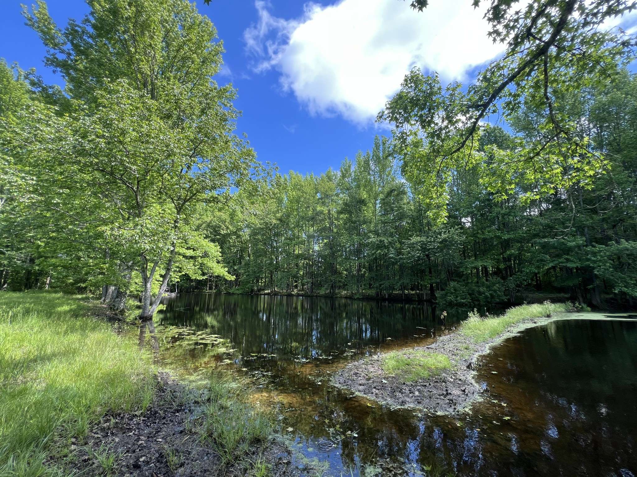 Saint Joseph, TN 38481,25 McCrory Rd