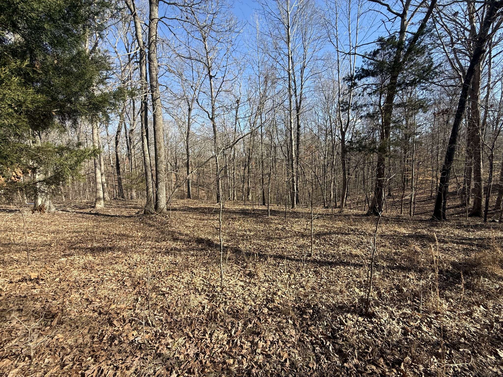 Indian Mound, TN 37079,55 Backwoods Estates