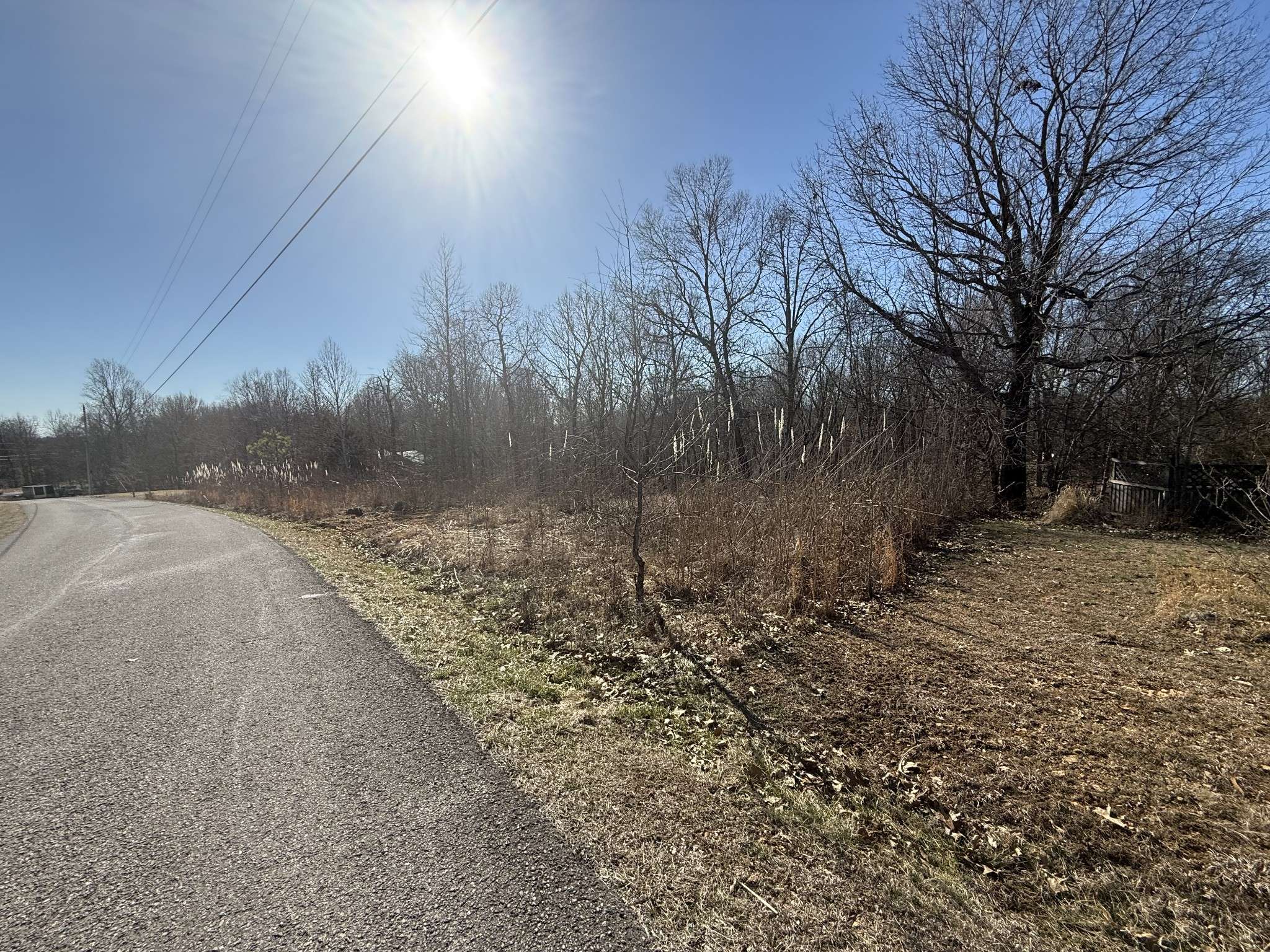 Indian Mound, TN 37079,34 Backwoods Estates