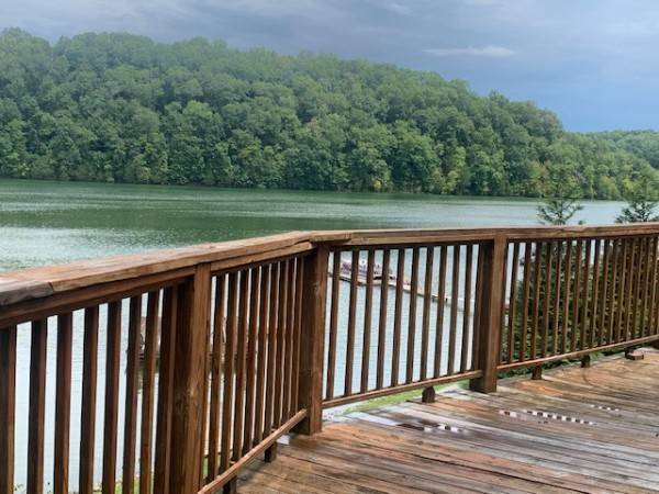 Lynchburg, TN 37352,264 Shasteen Hollow Rd