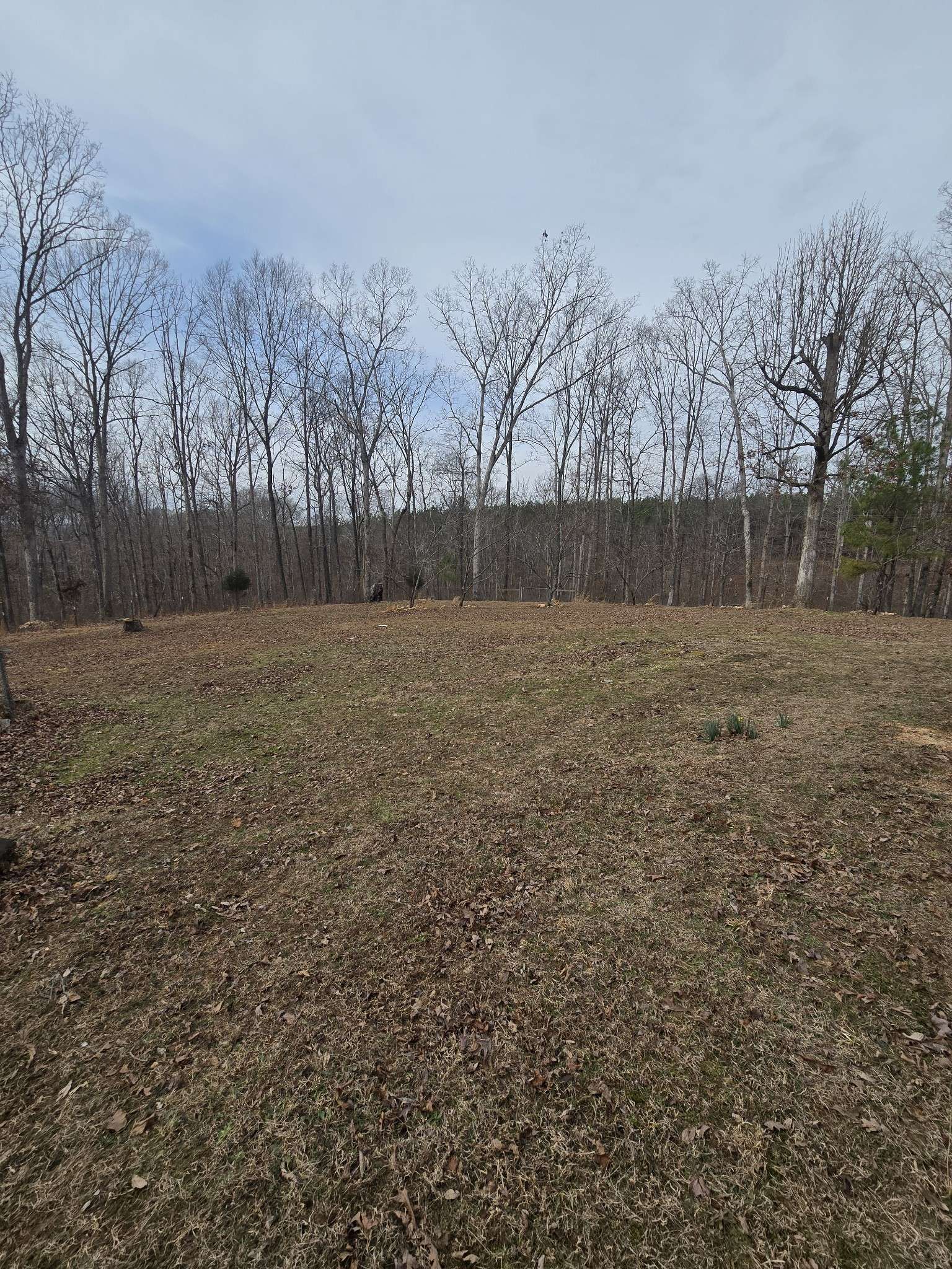 Dover, TN 37058,306 Cottrell Ridge Rd