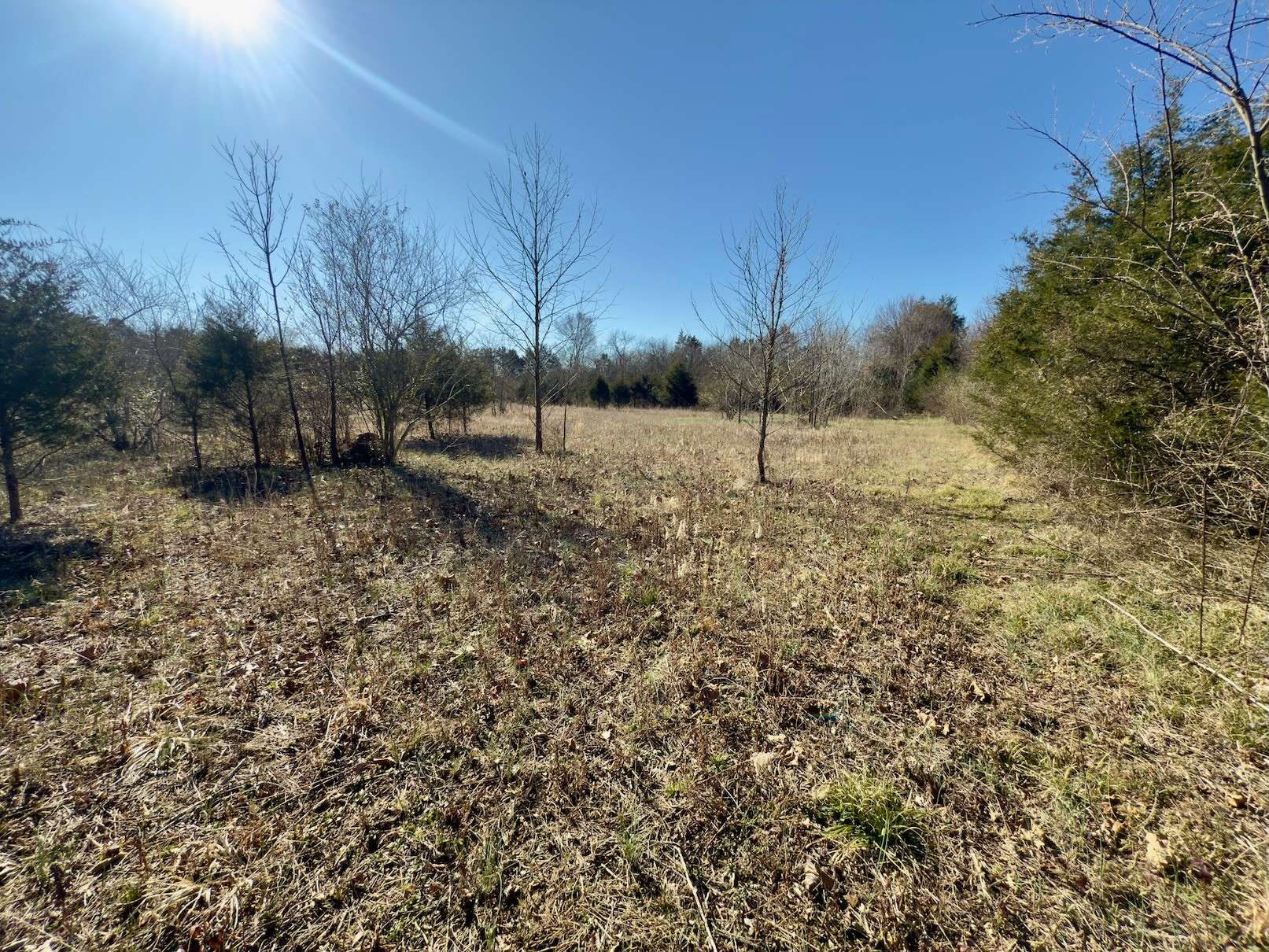 Lascassas, TN 37085,1 Bristol Dr
