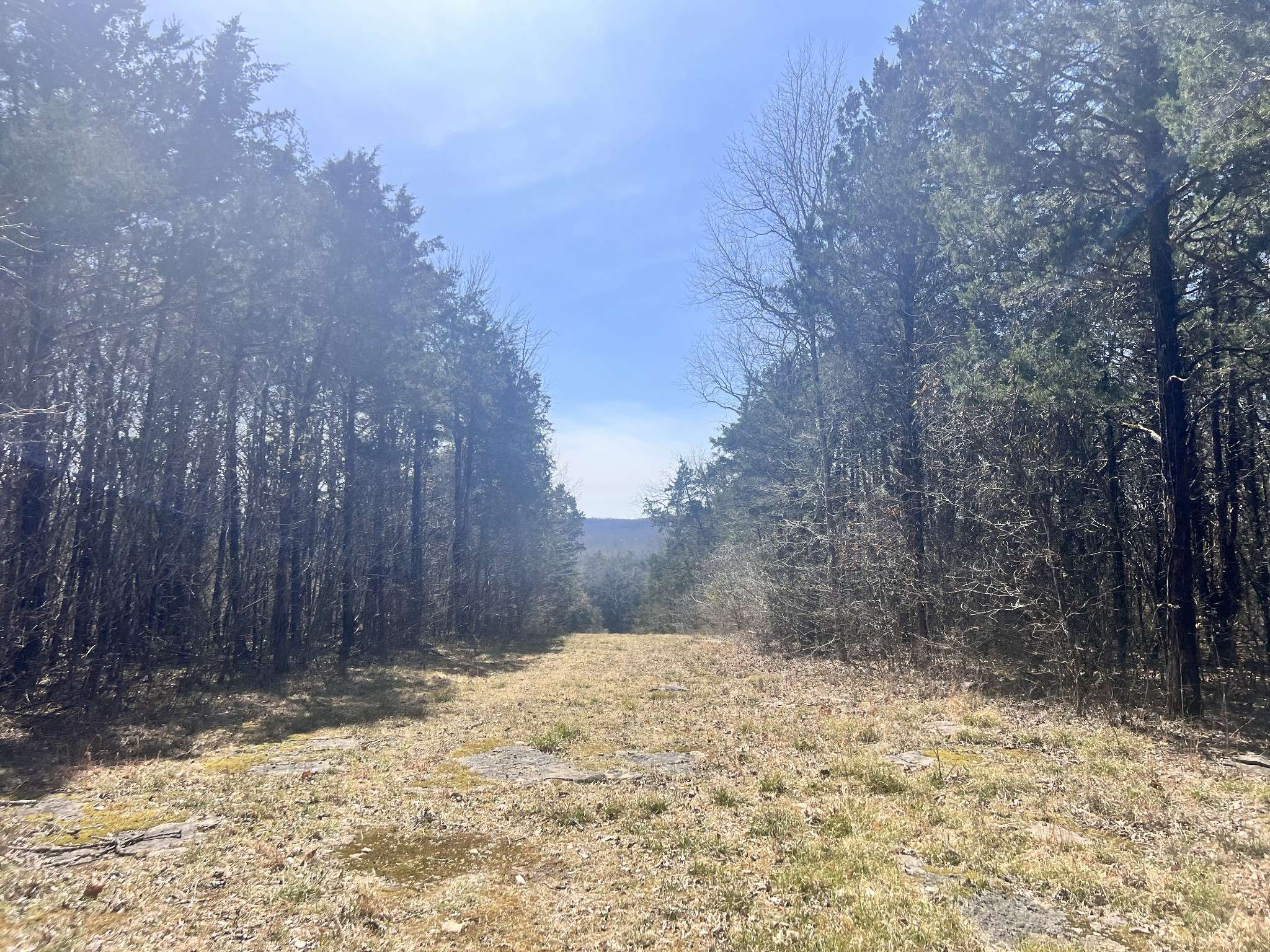 Lascassas, TN 37085,2 Browns Mill Rd