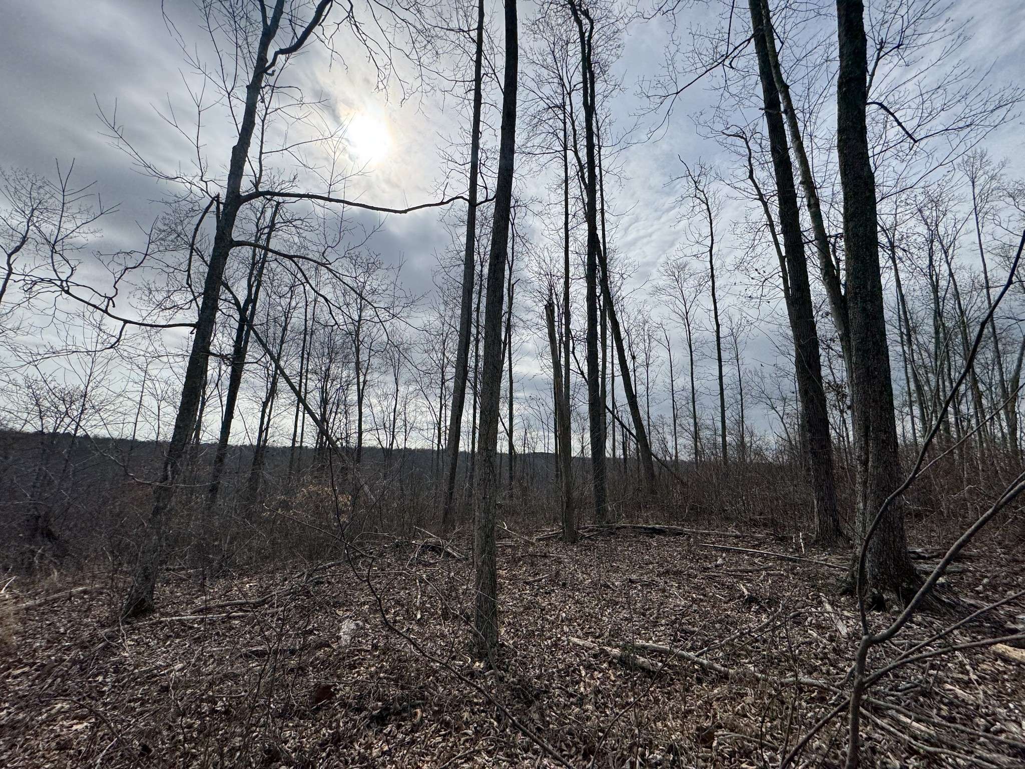 Smithville, TN 37166,0 S Peninsula Edge Dr