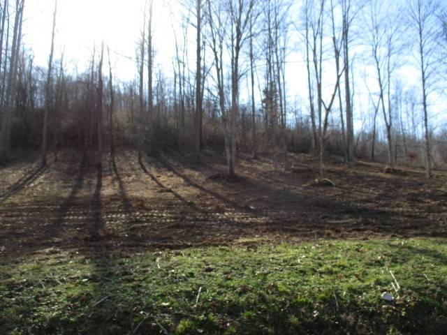 Bethpage, TN 37022,0 Rock House Hollow Road