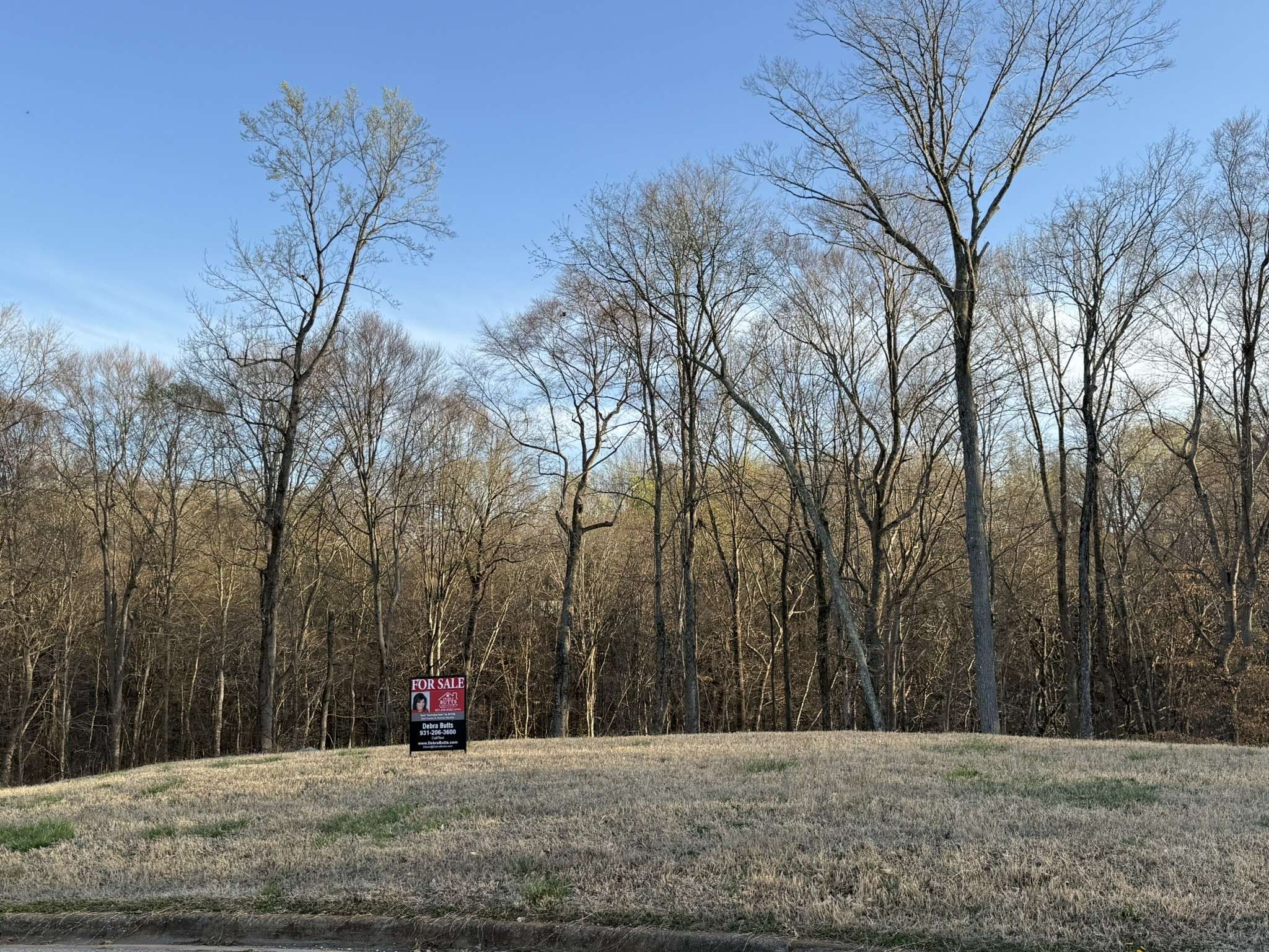 Clarksville, TN 37043,156 Enclave At The Villa
