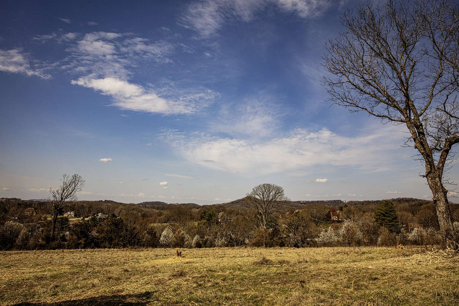 Franklin, TN 37067,9441 Clovercroft Rd