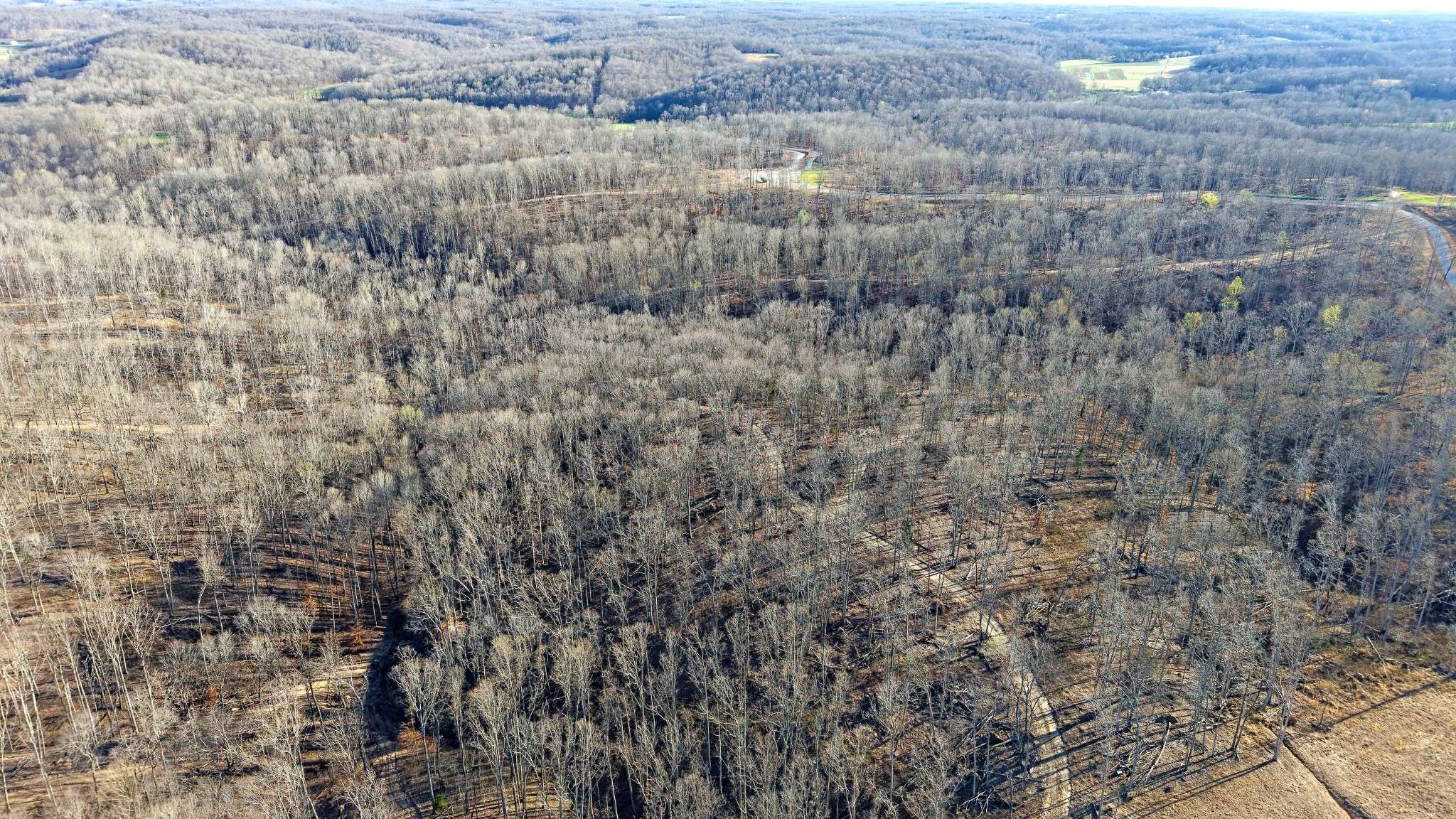 Vanleer, TN 37181,3L Oak Ridge Rd