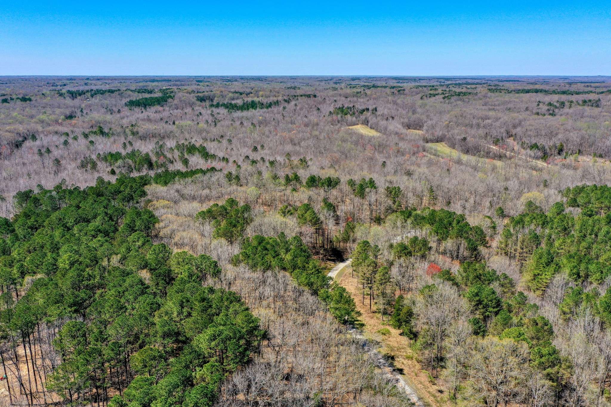 Cedar Grove, TN 38321,297 Zara Spook Dr