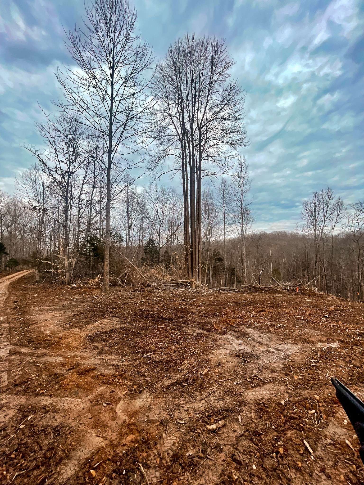 Bon Aqua, TN 37025,0 Ridgetop Dr