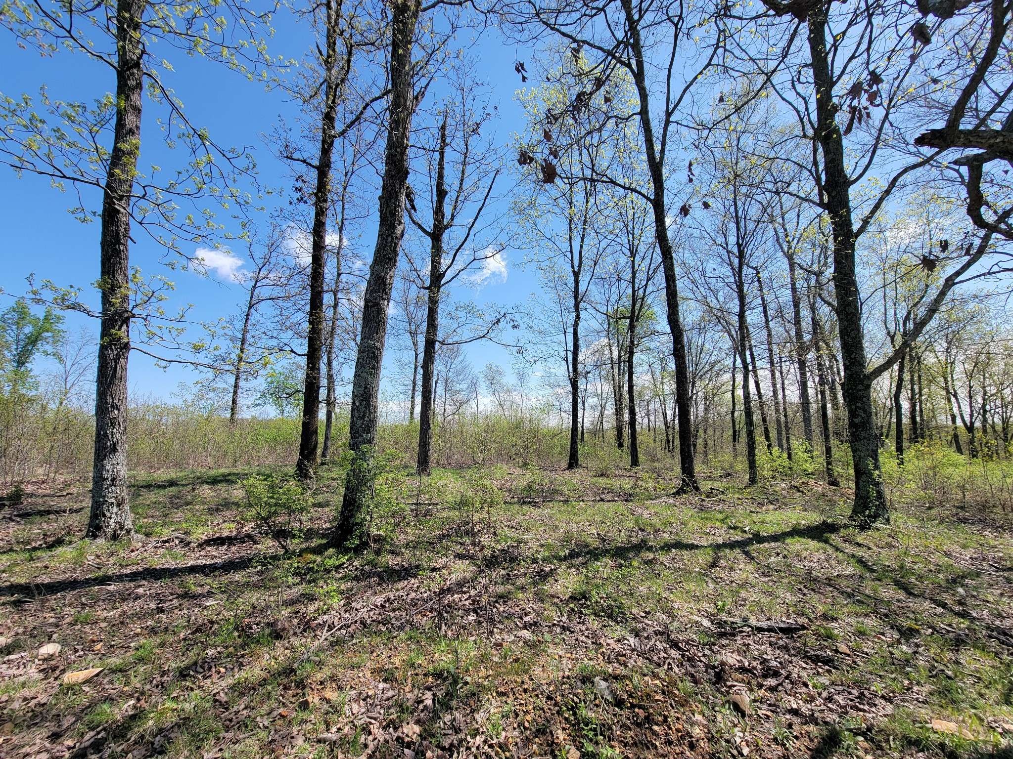 Stewart, TN 37175,1025 Vista Ridge Dr